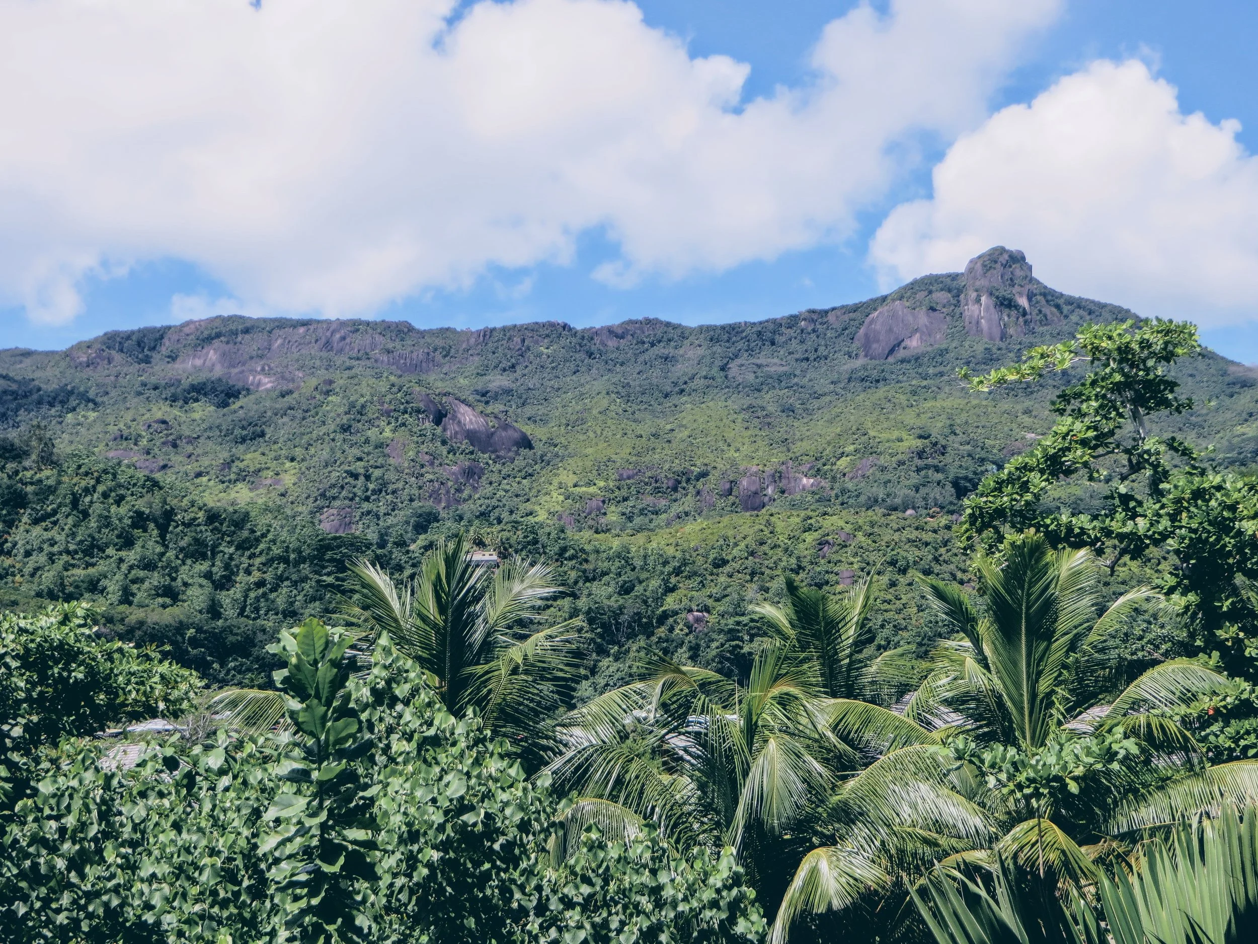 Outstanding cliffs contrasted with greenery represent much of the landscape of the island.