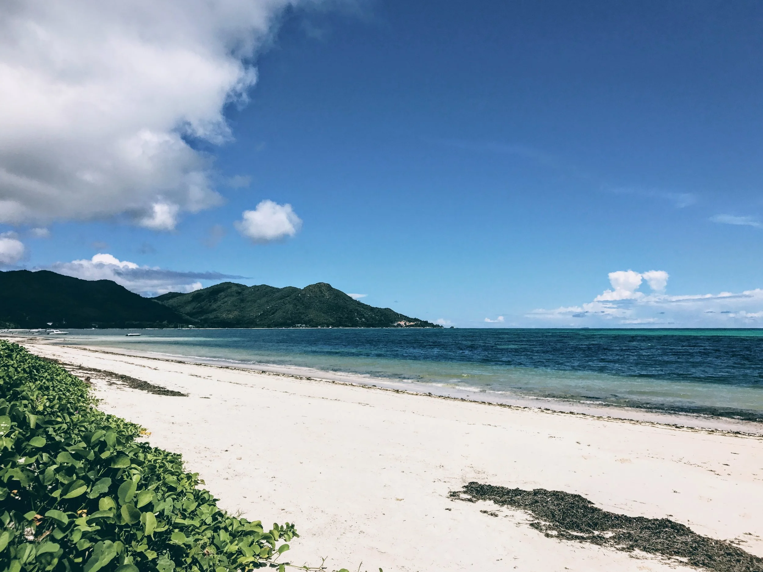 A deep green and blue, interrupted by sand, at Grand Anse Beach.