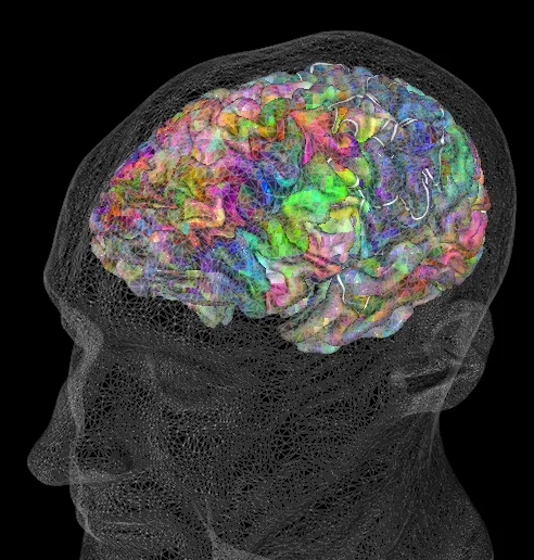 BrainMap.jpg