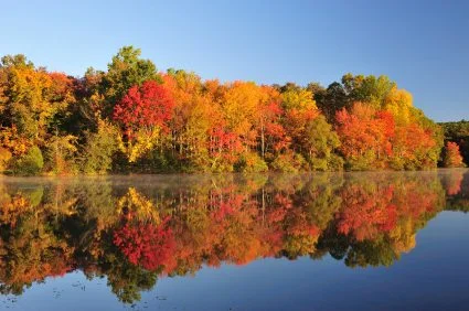 Falls Lake.jpg