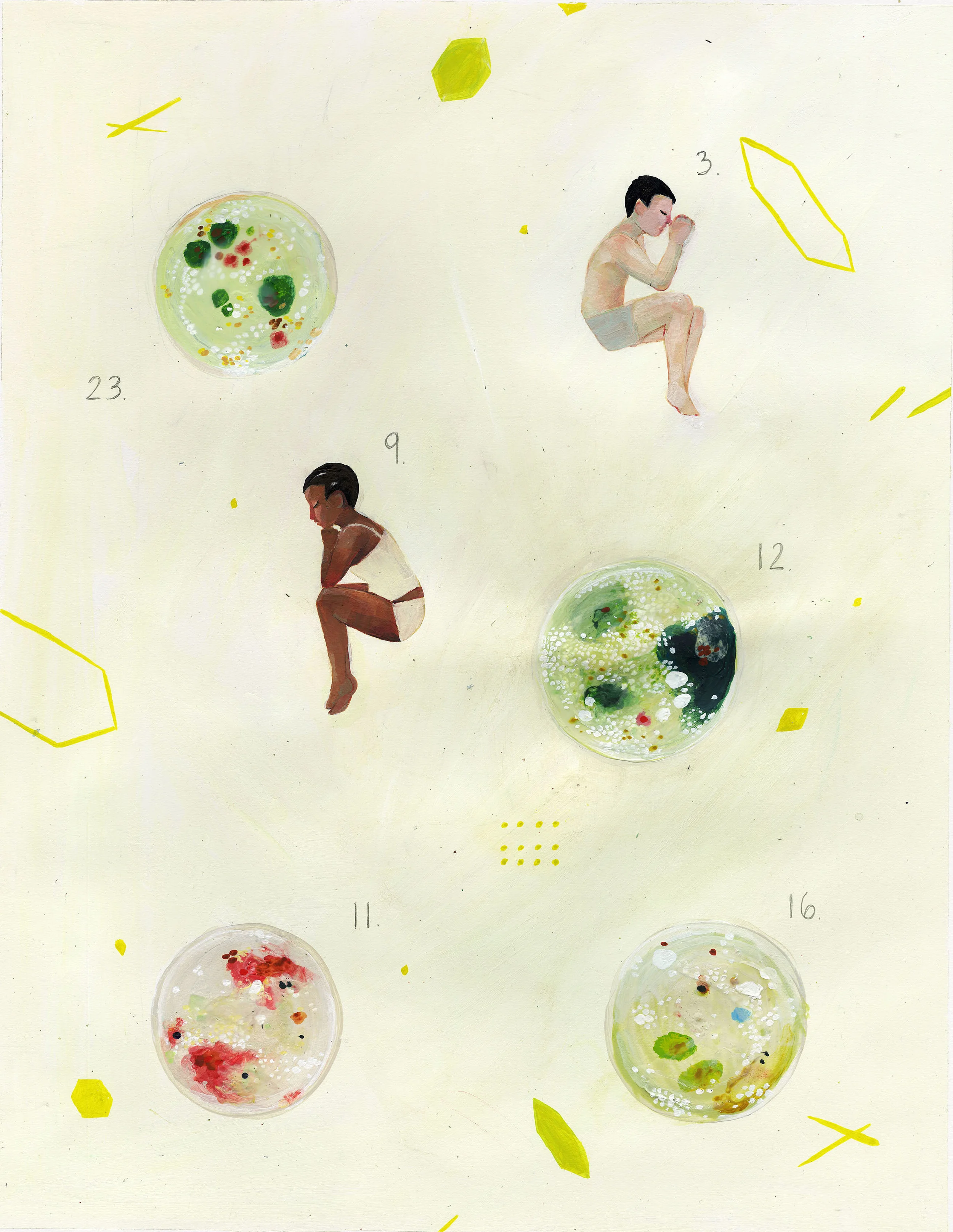 Petri Dish