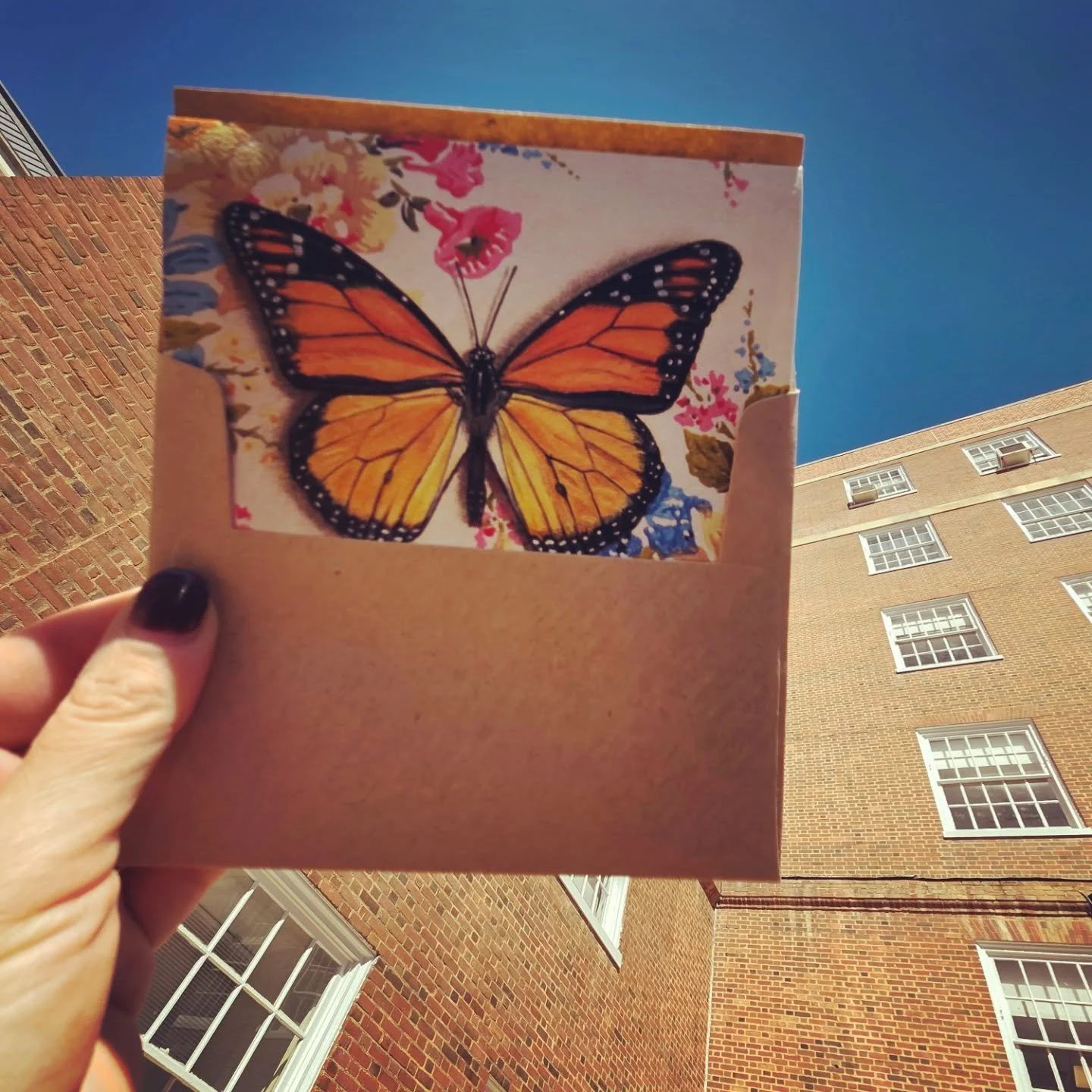 Today, is a significant day in my post-transplant timeline. I wrote a letter to the loved ones of my organ donor. I have thought about this day quite often since I had my transplant last June. Typically, the organ recipient waits till they hit their