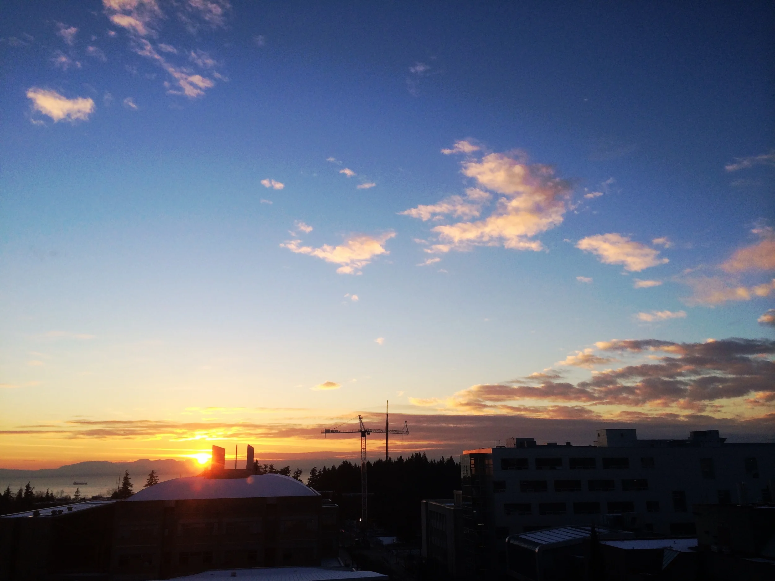 2014-12-01 16.10.12.jpg