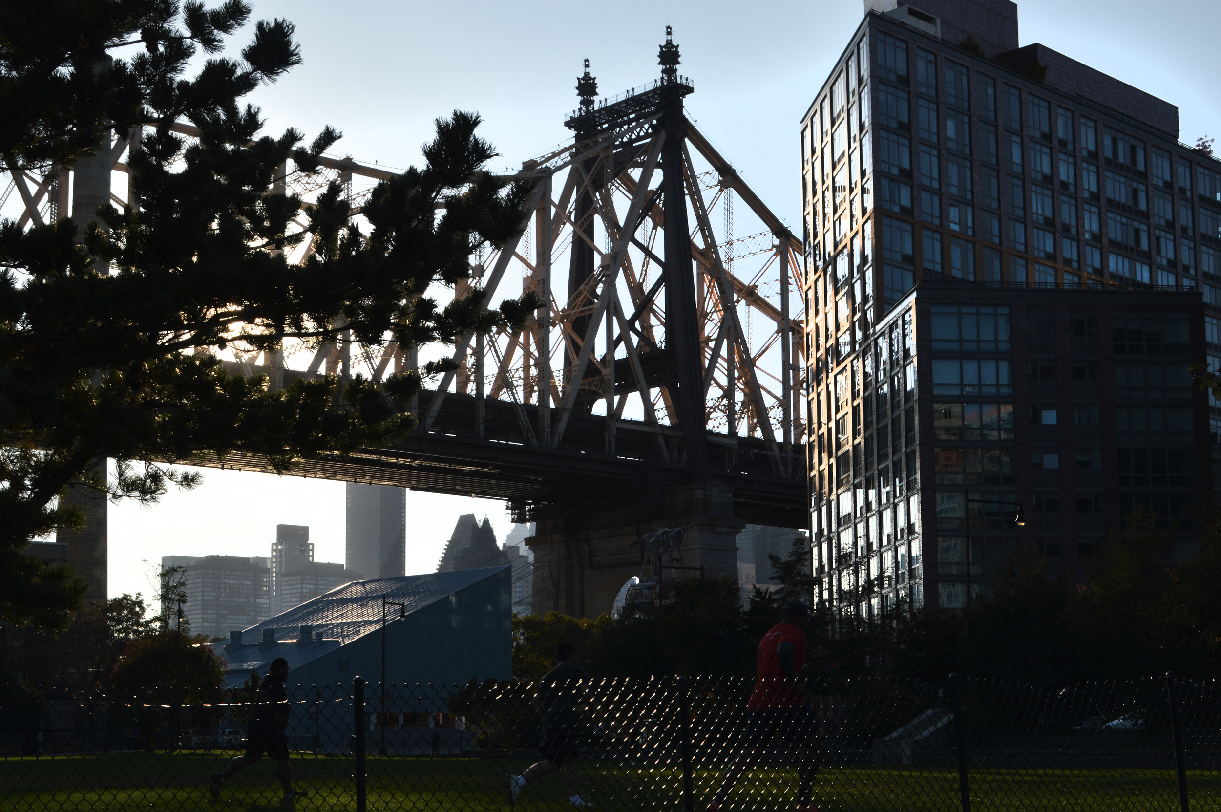 Roosevelt Island