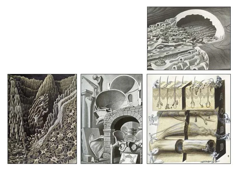 Pages from Alvarez_Thesis Book_Reduced_Page_2.jpg