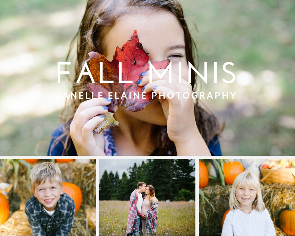 Fall Mini Sessions — Janelle Elaine Photography 