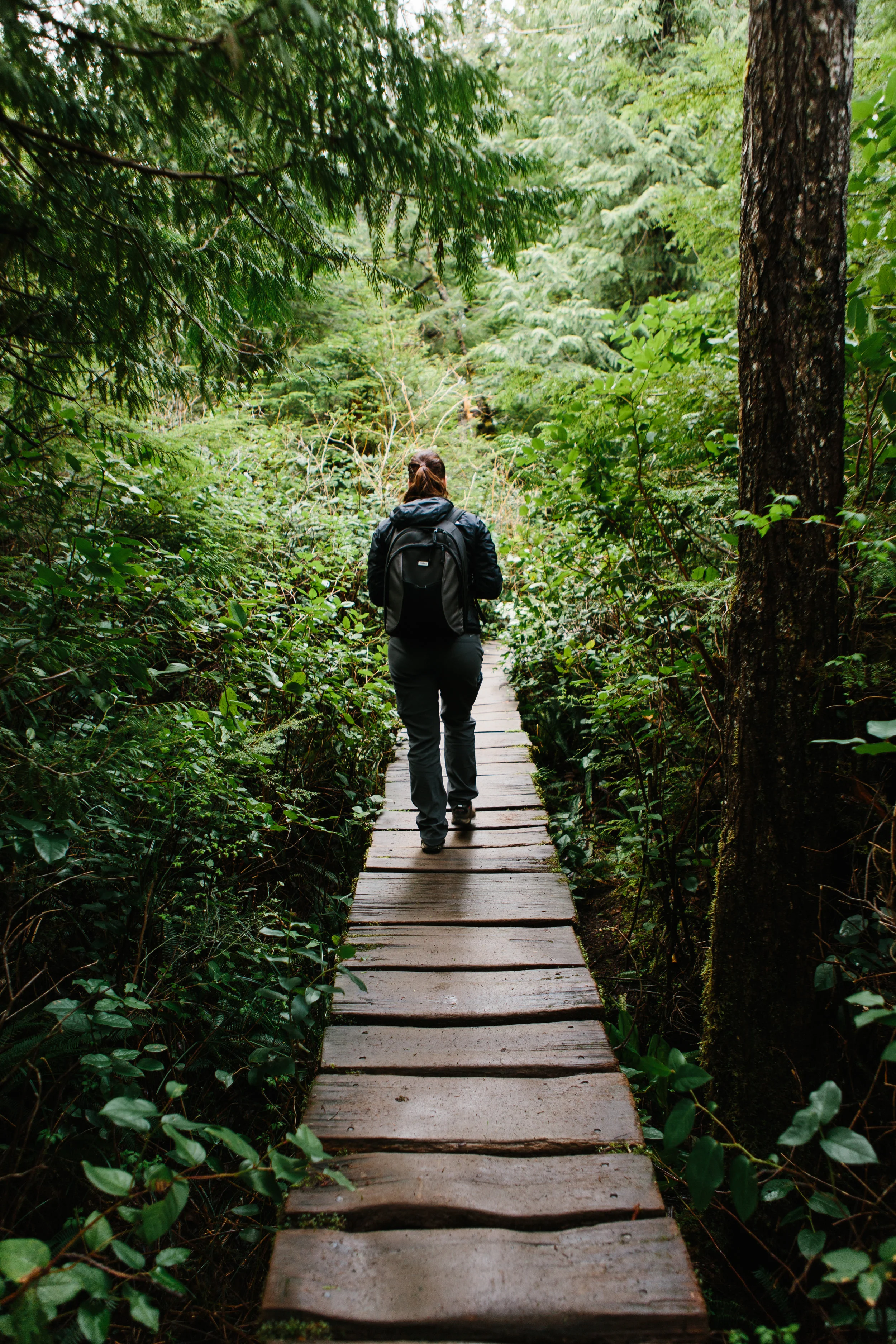 What I Learned My 1st Year in WA...