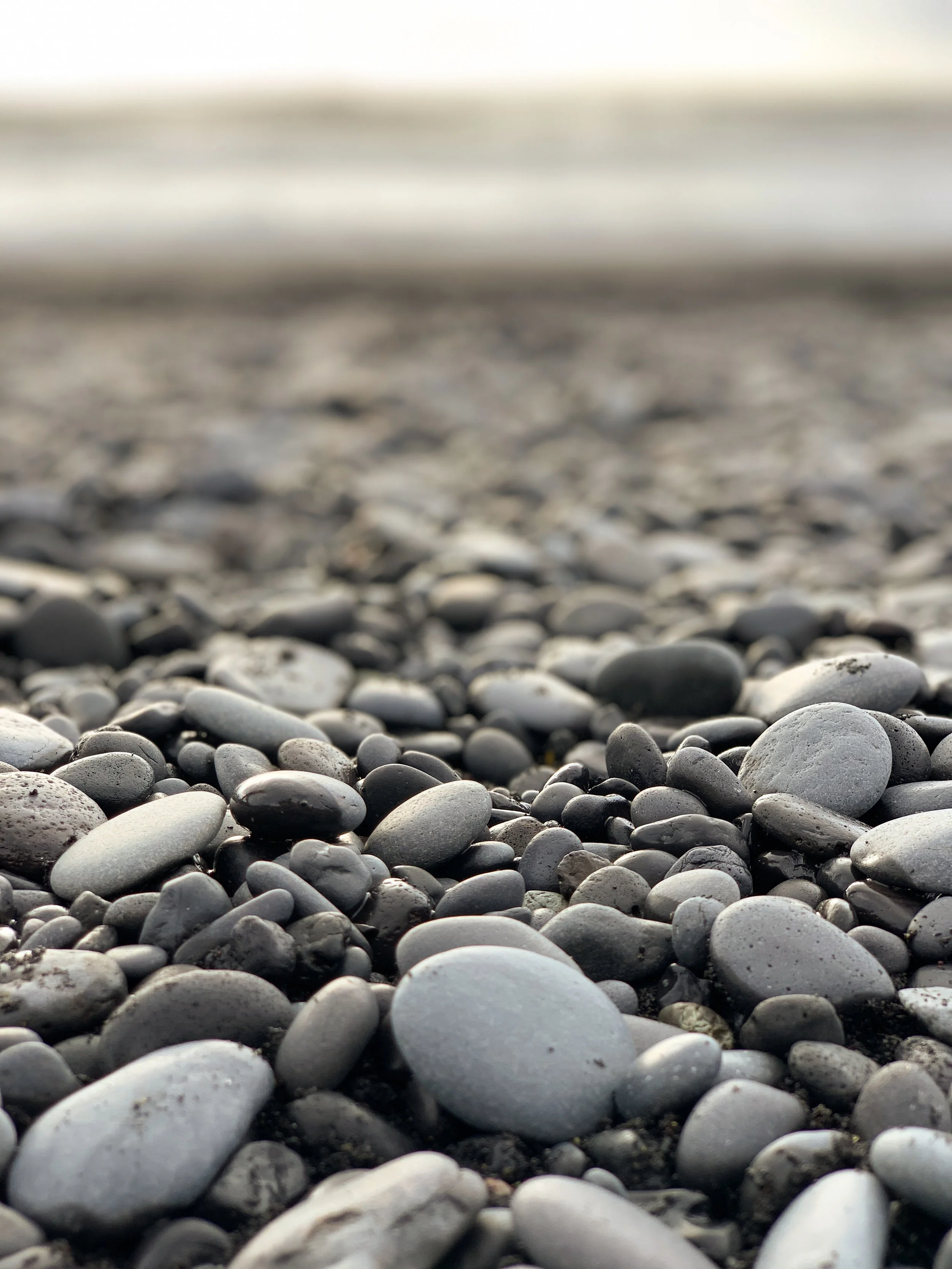 Love on Washington Island