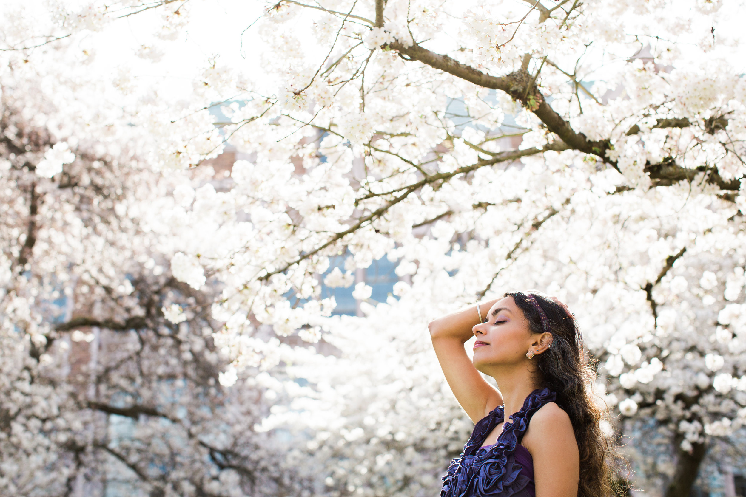 sufience-harkirat-university of washington-cherry blossom-portrait session-seattle photographer janelle elaine photography-1-3.jpg