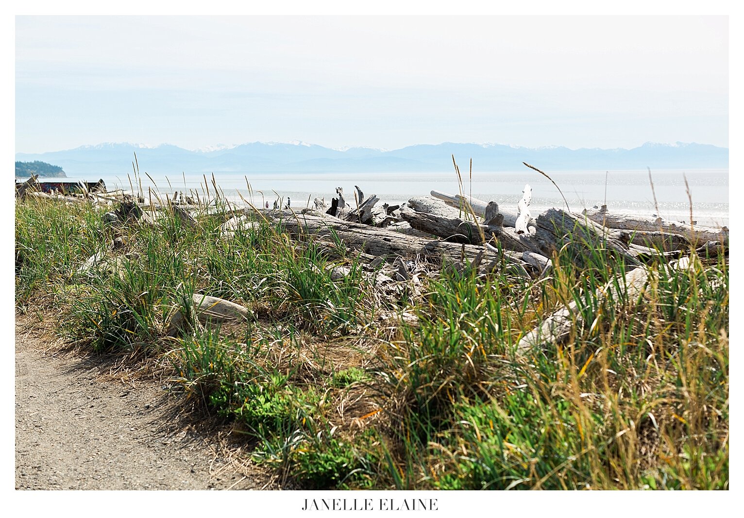 Whidbey Island-Maternity-Photography-Beach-Portraits-Janelle-Elaine-Photography-Seattle-WA-110.jpg