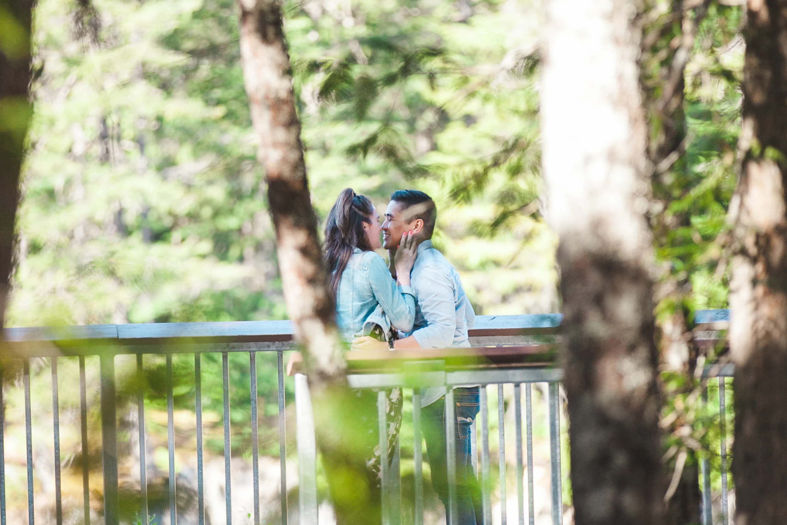 Brandywine Falls Proposal | Ale + Philan 
