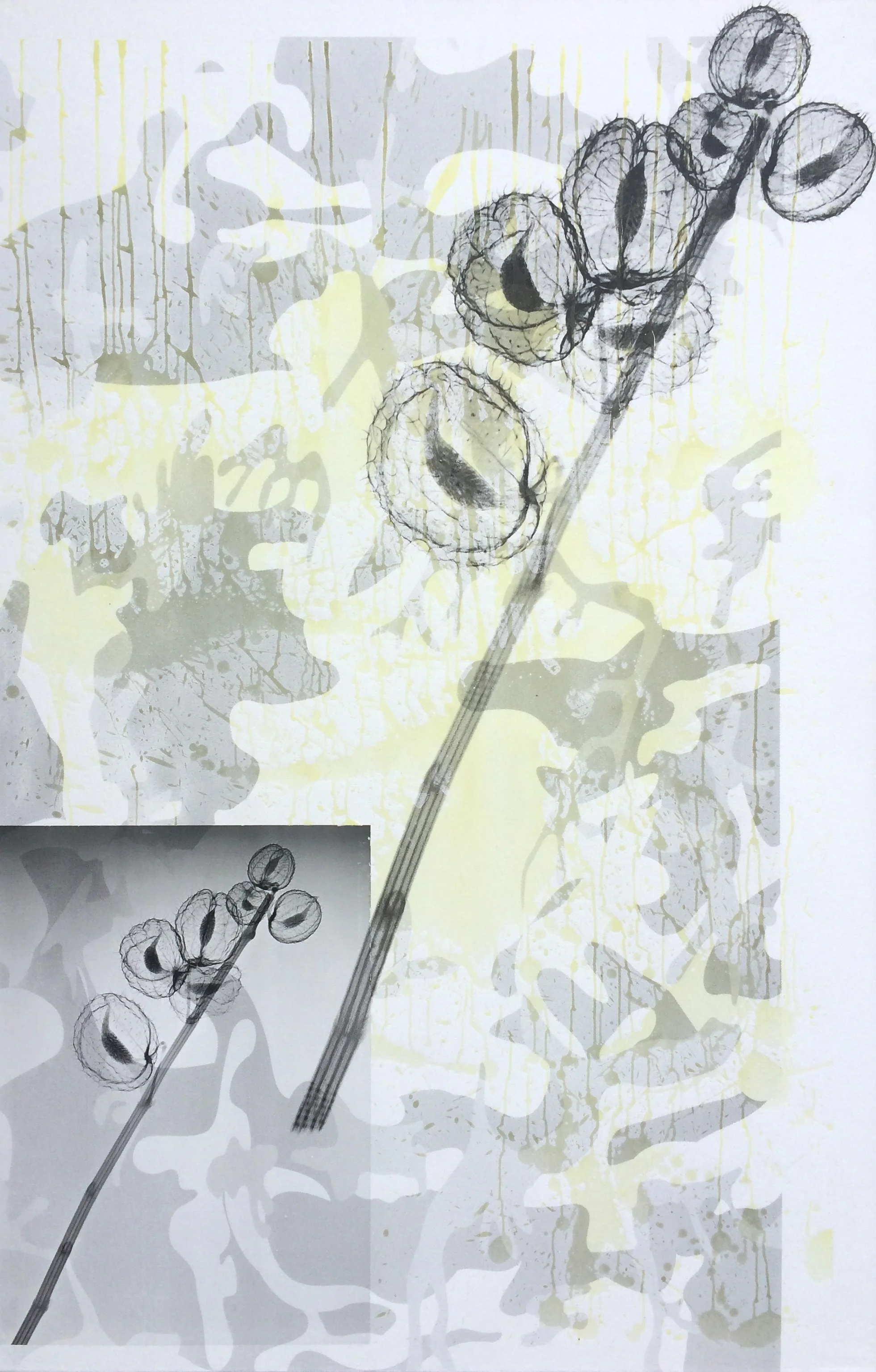 Swearing Softly , inkjet, pigment dispersion, silk screen on canvas, 62.25" x 40.25"