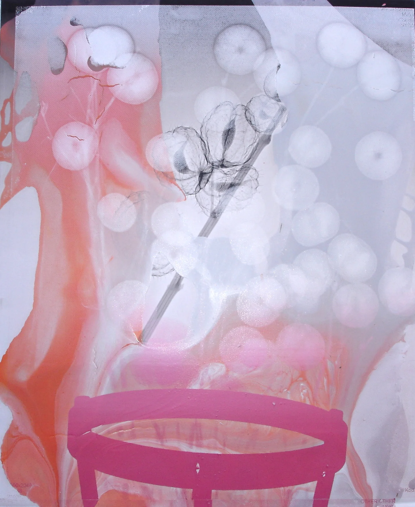   Seed Culture , inkjet, pigment dispersion, silk screen on canvas, 27" x 22" 