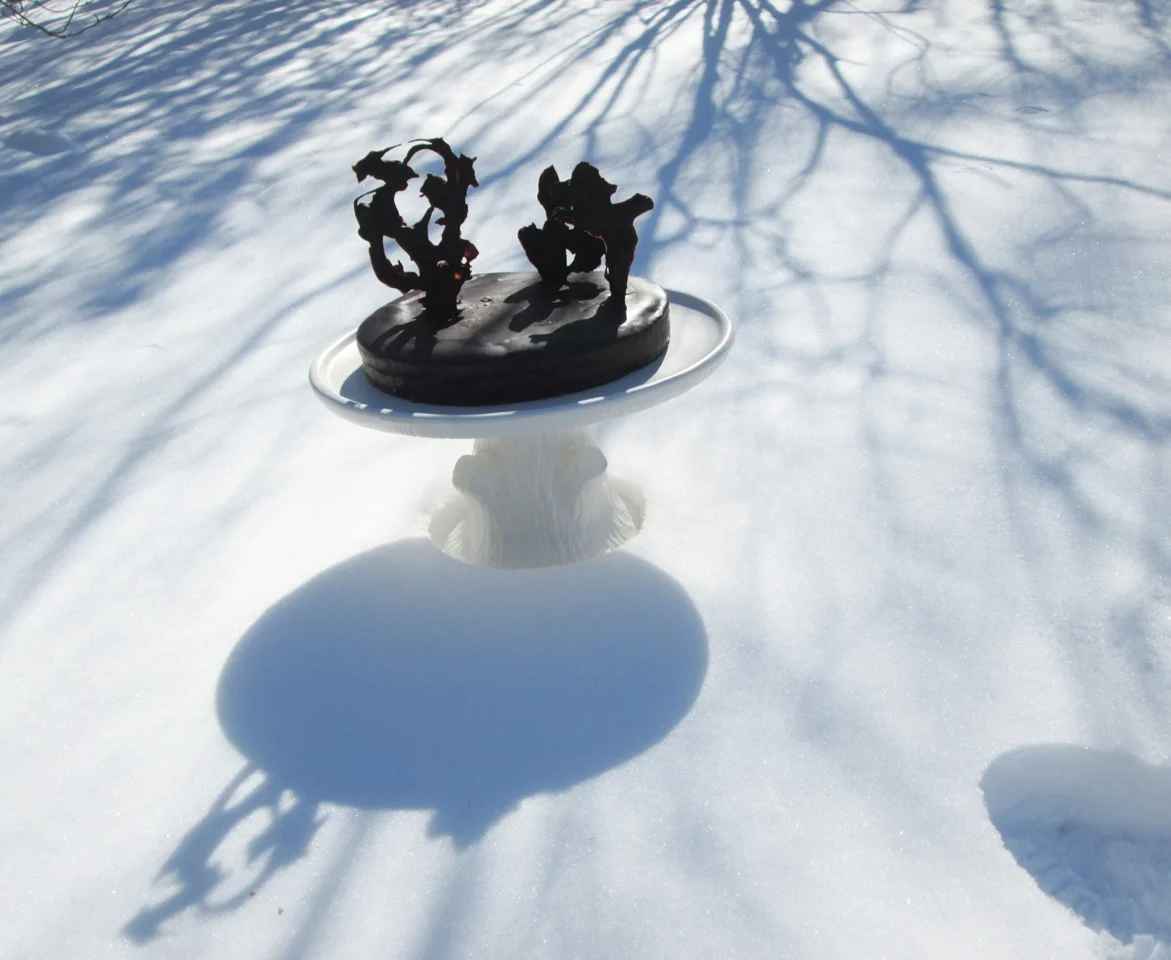 Winter cake with chocolate trees.jpeg