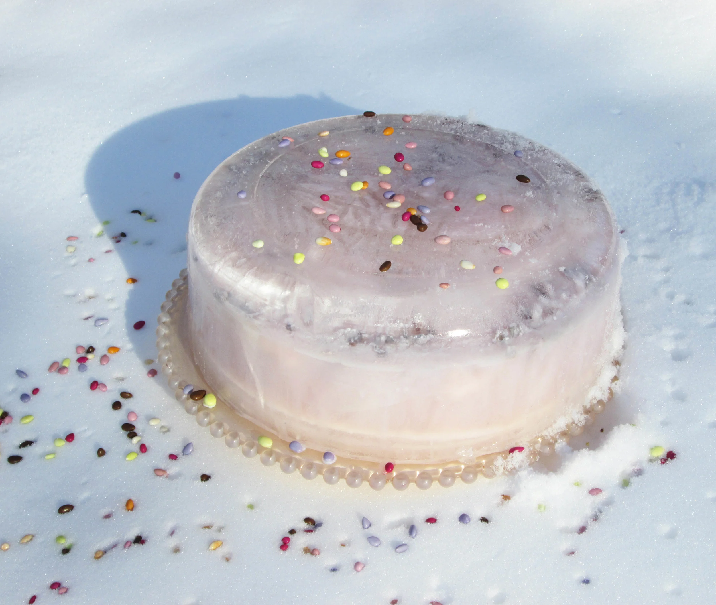 Layer Cake Encased in Ice.jpg
