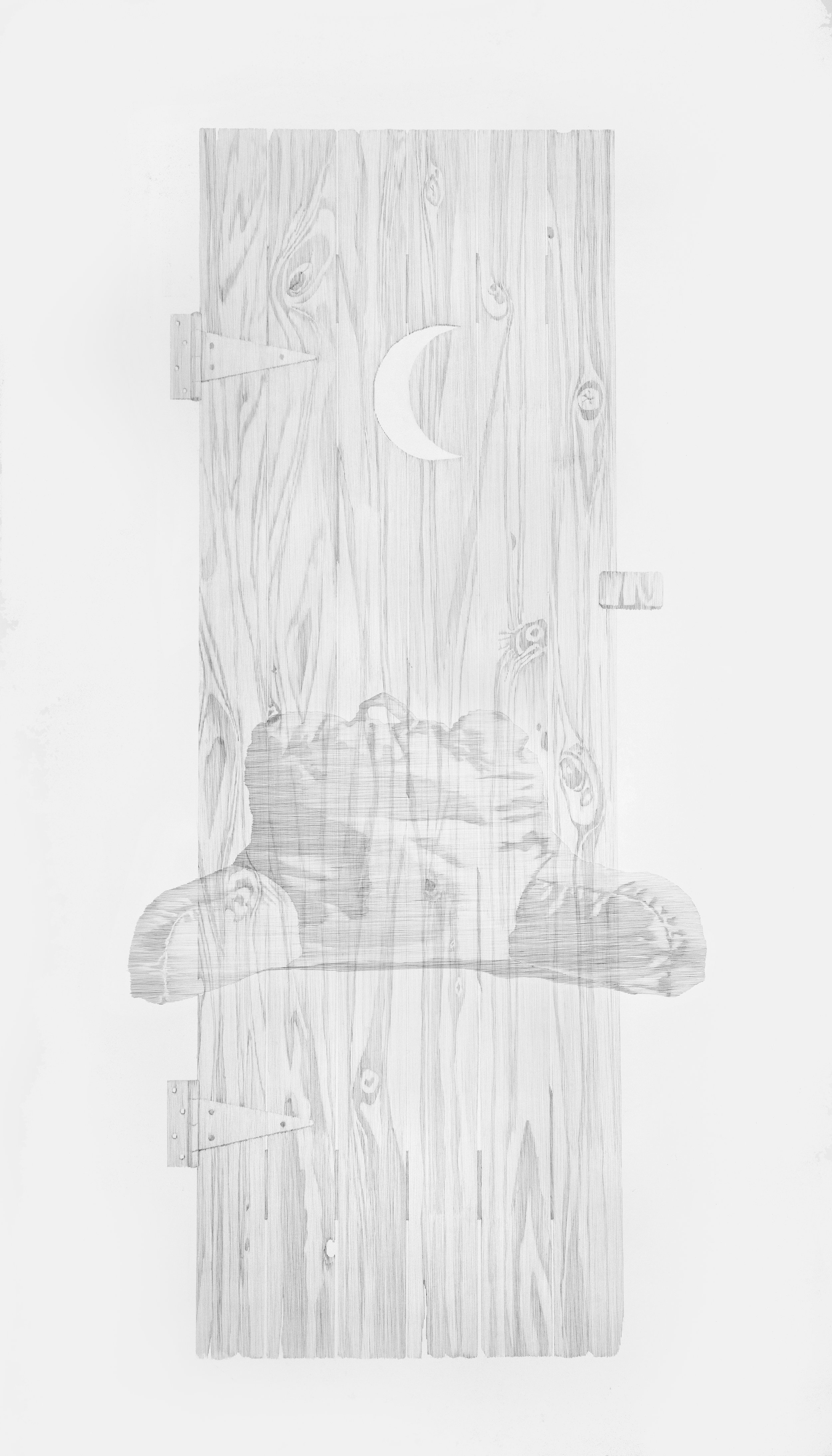 Daina Mattis, Relax, graphite on paper, 88.25" x 50.5"