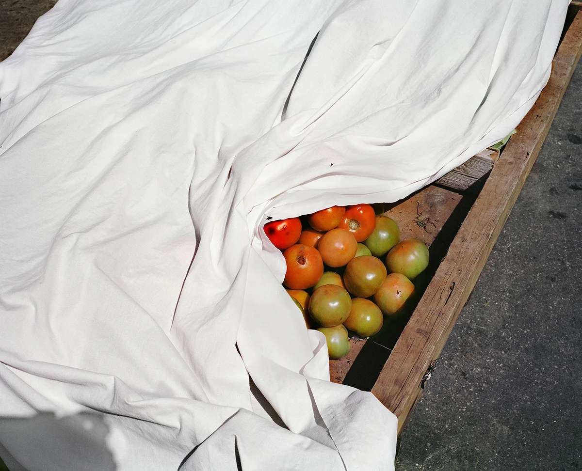 In the Market, archival digital print, 30" x 37", edition 5