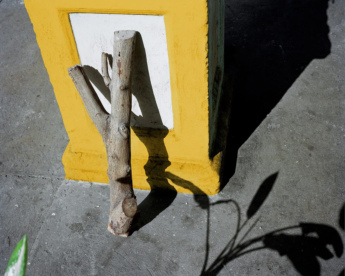 The Stick, Archival digital print, 20" x 16", edition 5
