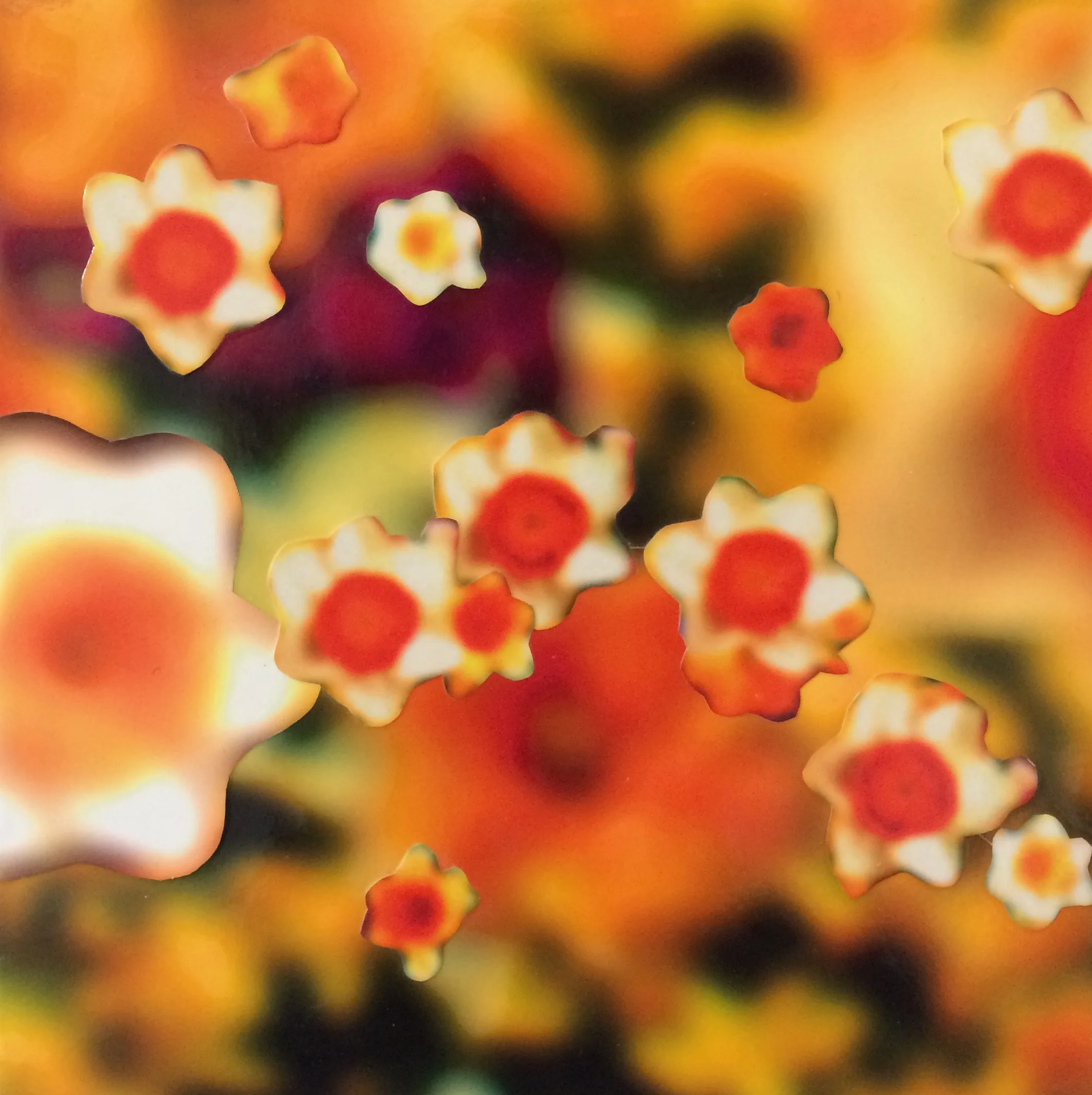 Peter Dayton, Daffodil Blur, pigment print collage on wood panel, 12" x 12"