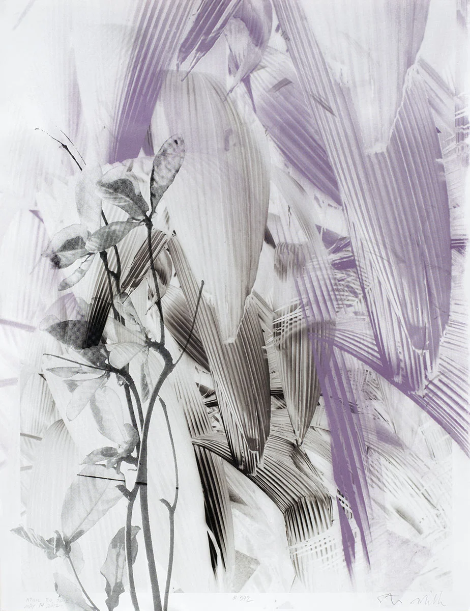 Steve Miller, HOP #592 , inkjet and silkscreen on cotton rag, 31.25" x 24", framed