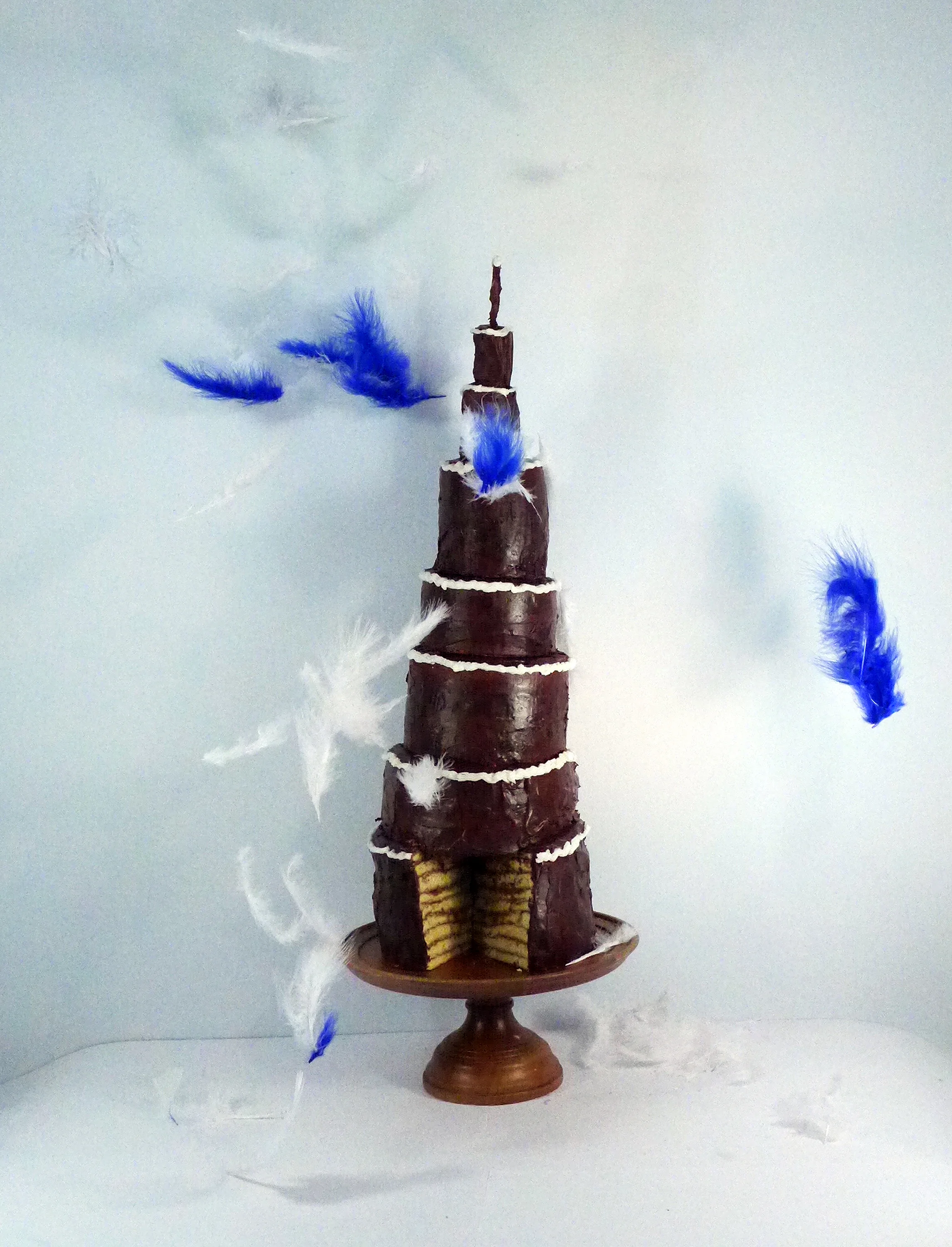  Christa Maiwald,  Giacometti Cake with Feathers , Archival pigment print, 24" x 20" (approx.) Variable sizes 