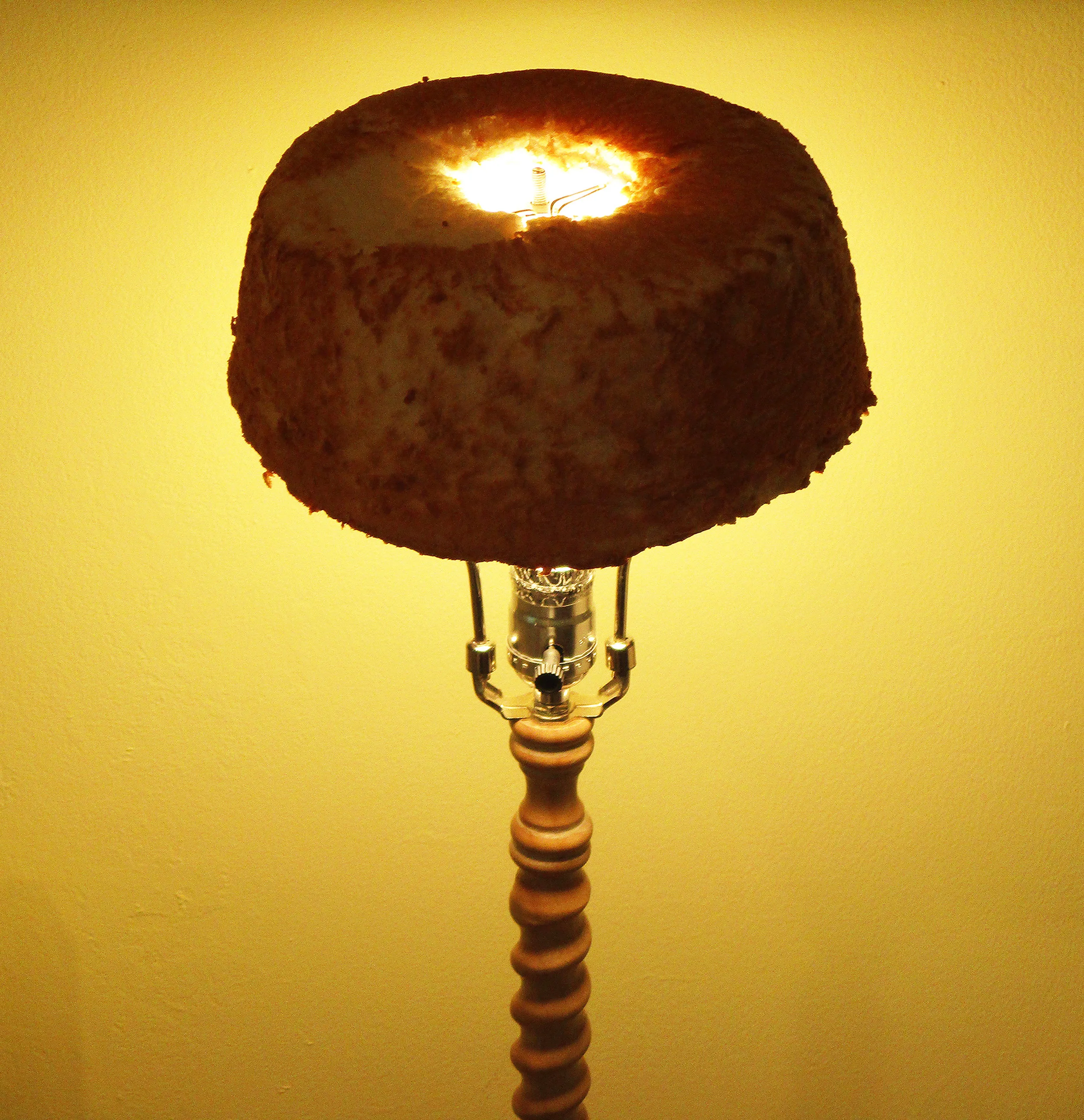  Christa Maiwald,  Angel Lamp,  Archival Pigment Print, Variable sizes 