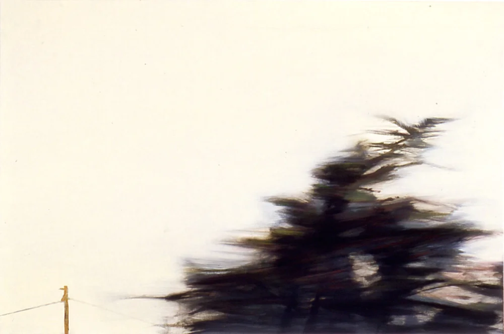 Shirley Irons, Larger Wind , oil on wood panel, 27" x 41"