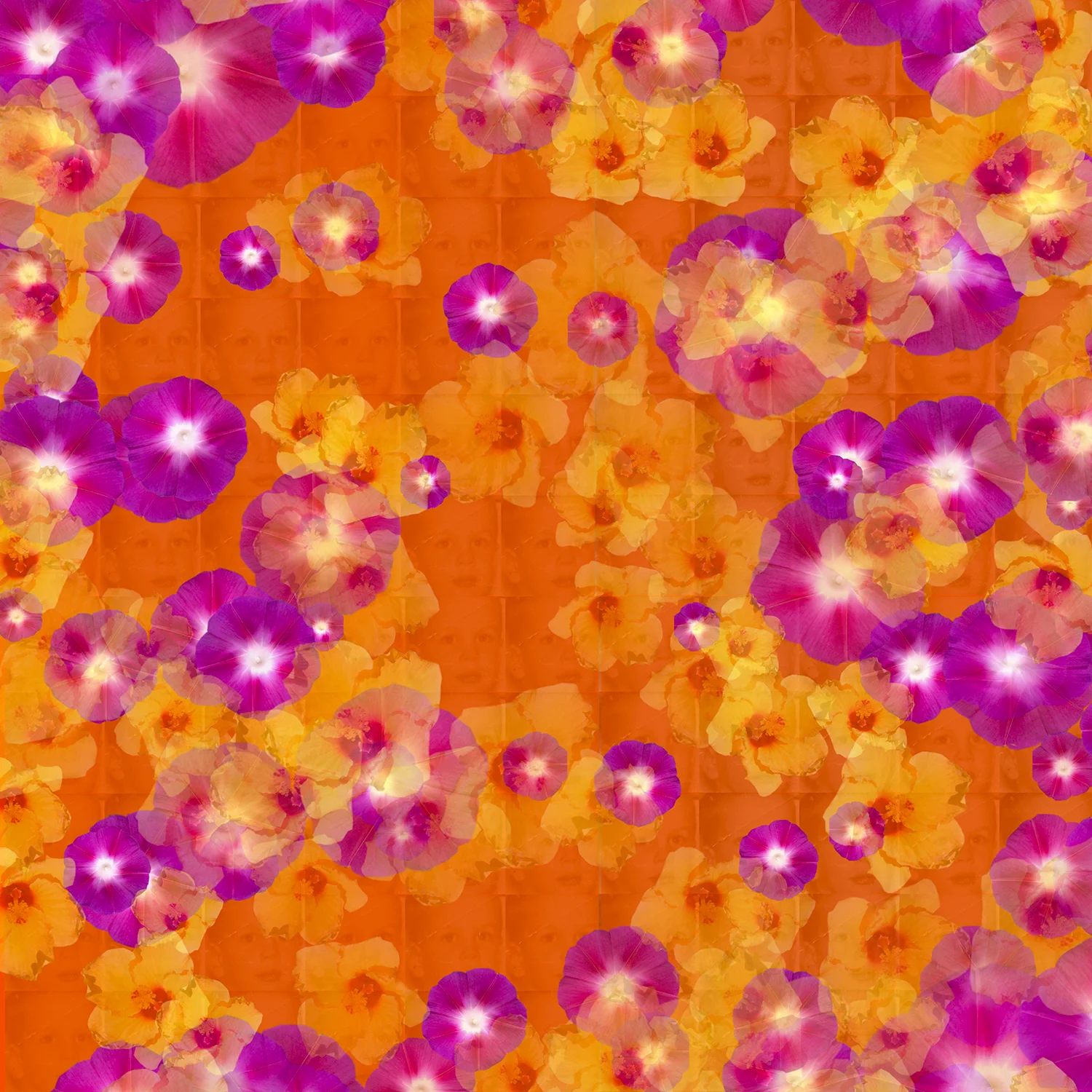 John Haubrich, Day of Self Acceptance , archival digital print, edition 10, 23.5" x 23.5" (image), 32" x 32" (framed with white mat, white frame)