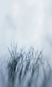 Elena Lyakir, Illumination , archival print mounted on plexi, 18" x 30", 5/18,