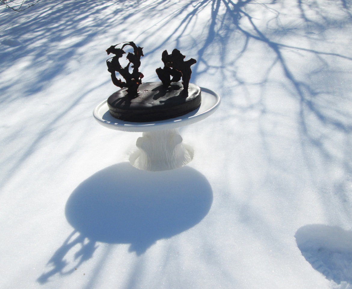 Christa Maiwald, Winter Cake with Chocolate Trees , archival pigment print, edition 10, 17" x 20"