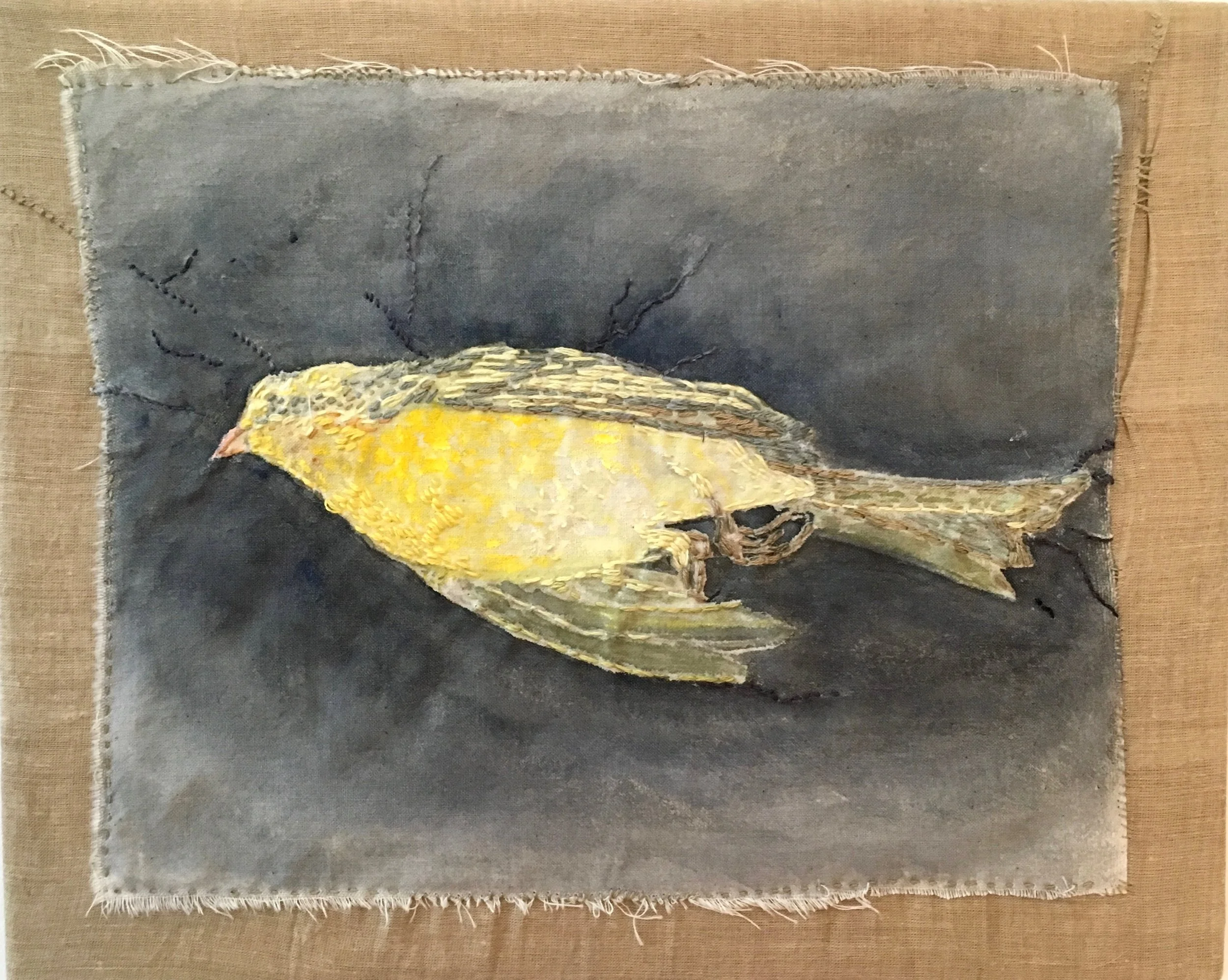 Erica-Lynn Huberty, Camberwell Finch , embroidery, watercolor, Indian muslin, stretcher frame, 9” x 11”