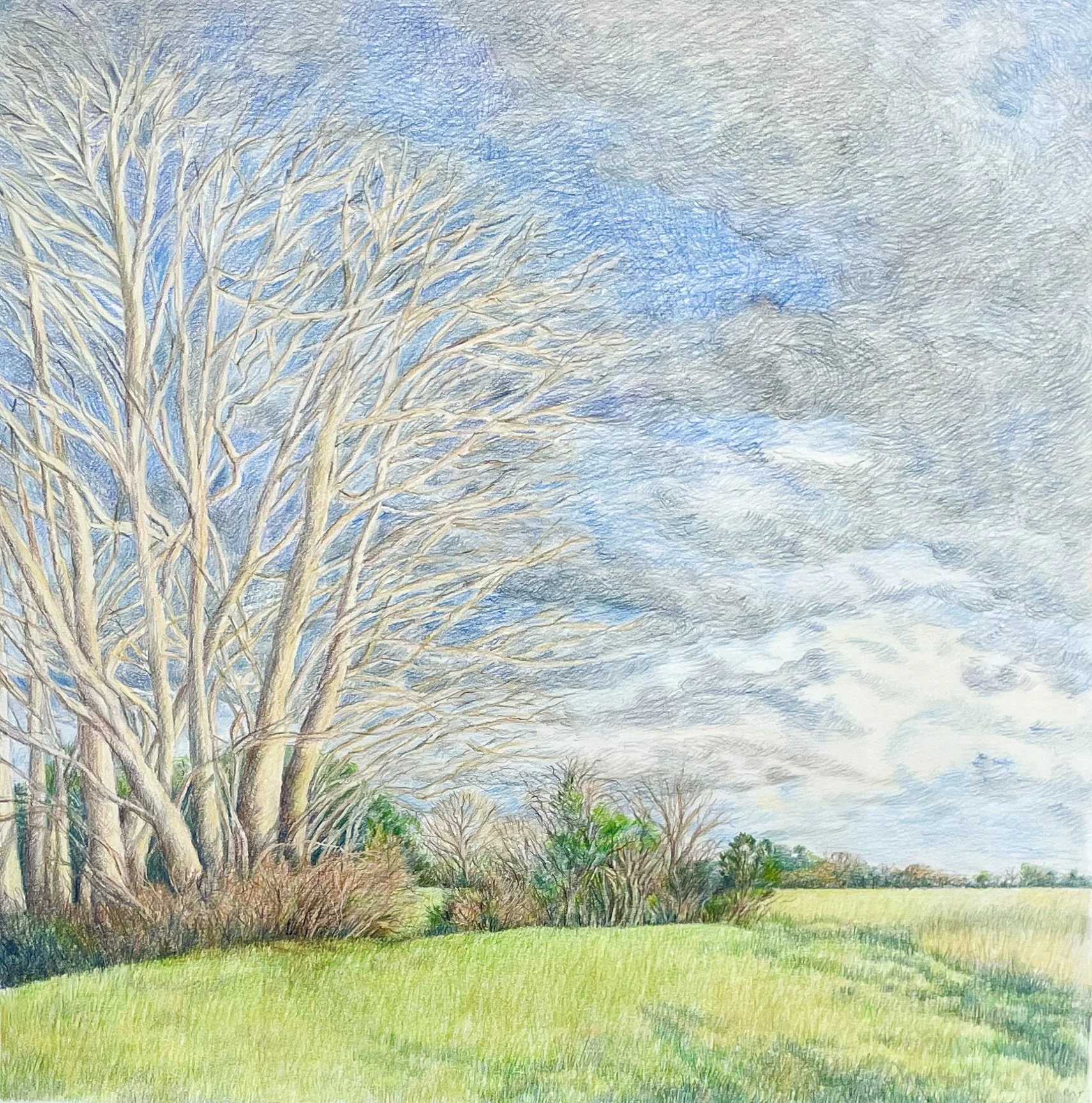  Barbara Thomas,  Sag Spring , colored pencil on paper, 22" x 22", 25" x 25" framed in whitewashed wood, $1,800 