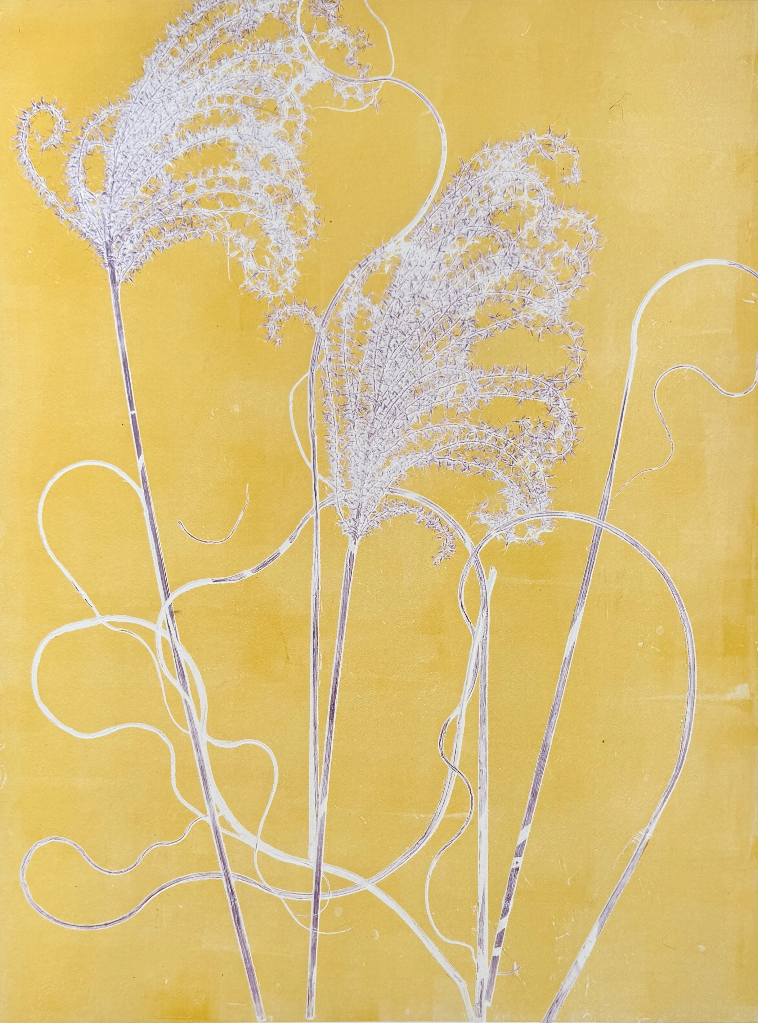 Nightingale, Sara.JPG