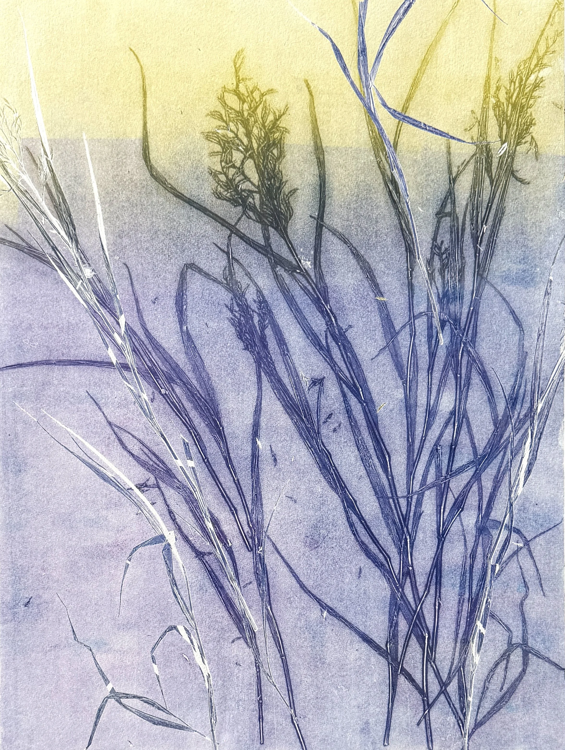  Stephanie Joyce,  Nature’s Poem series , monoprint on Hahnemühle paper, 23.5” x 17.5” image, 31” x 22” paper size, $2,200.00 framed 