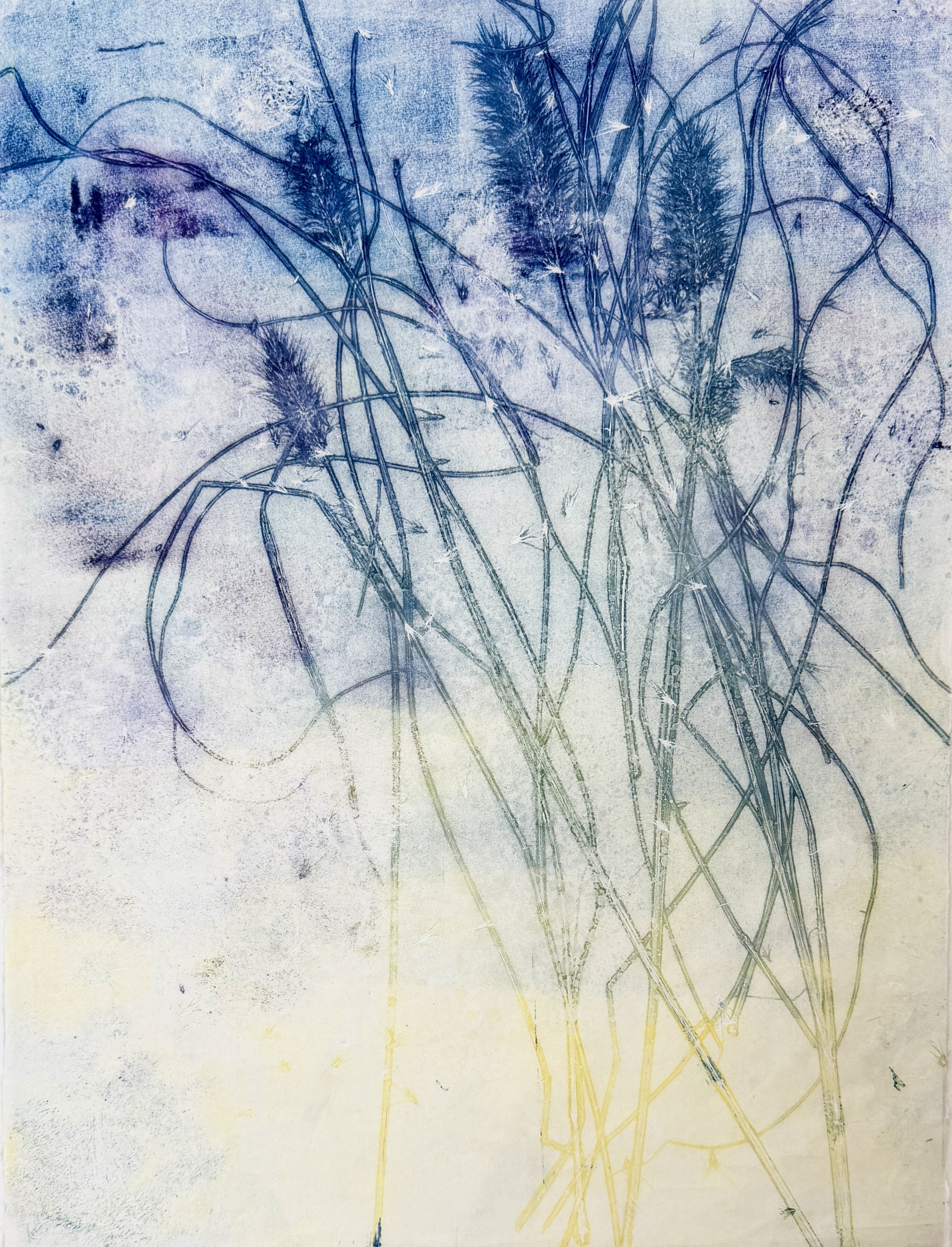  Stephanie Joyce,  Nature’s Poem XXXI , monoprint on rice paper, image: 23" x 18", framed: 29" x 23", $2,200 