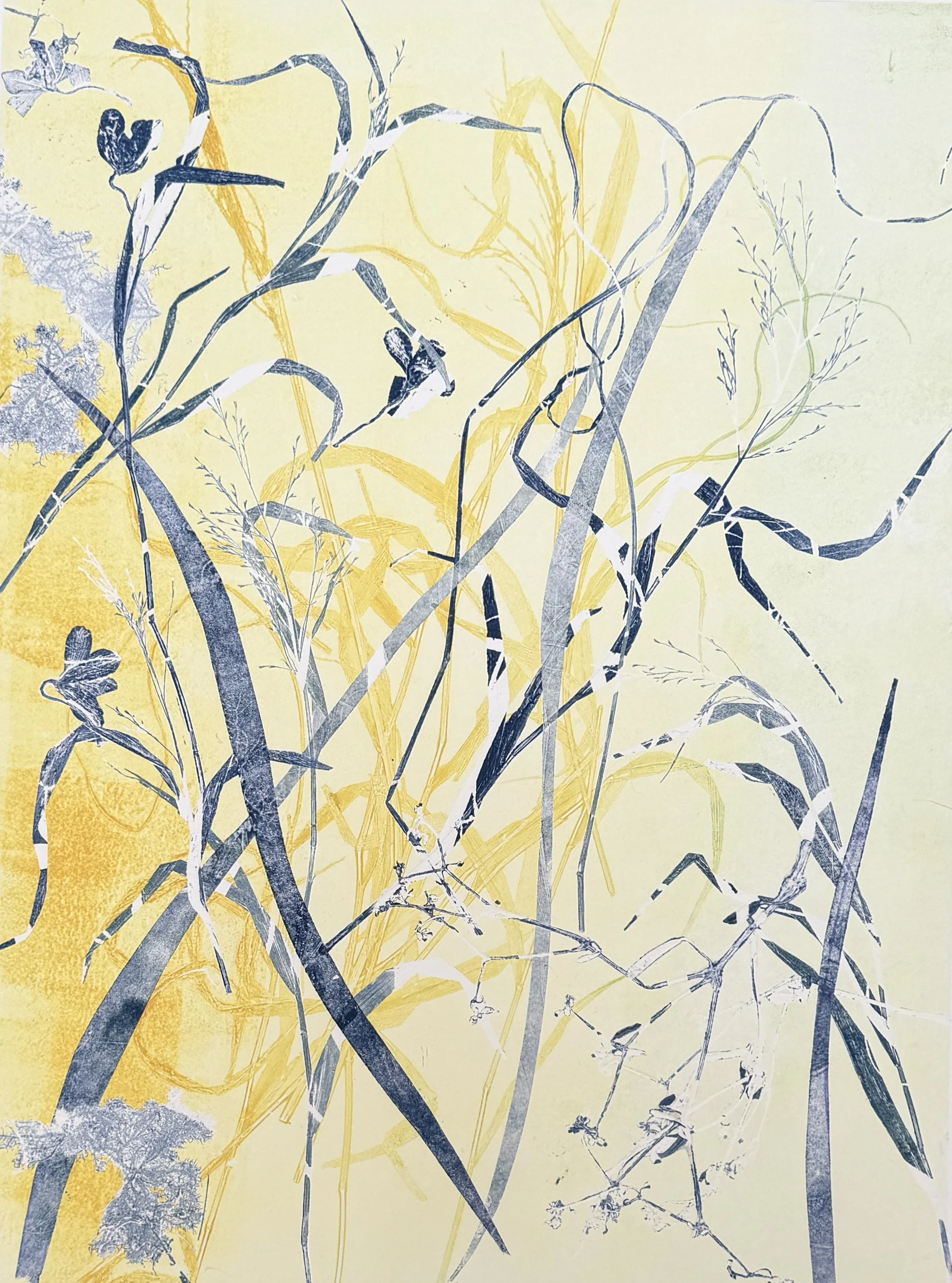  Stephanie Joyce,  Nature’s Poem XVIII , monoprint on Hahnemühle paper, image: 23" x 18", Paper size: 31” x 22”, unframed: $1,500, framed: 33" x 25”, $2,200 