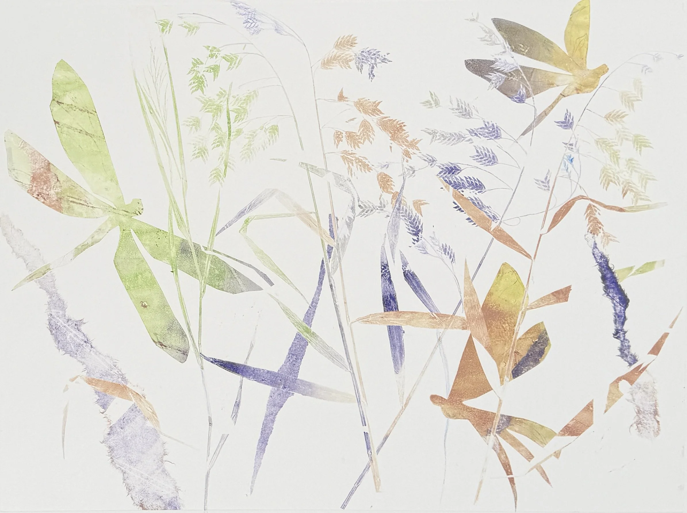  Stephanie Joyce,  Nature’s Poem XVII , monoprint on Hahnemühle paper, image: 23" x 18", framed: 25" x 33", $2,200 