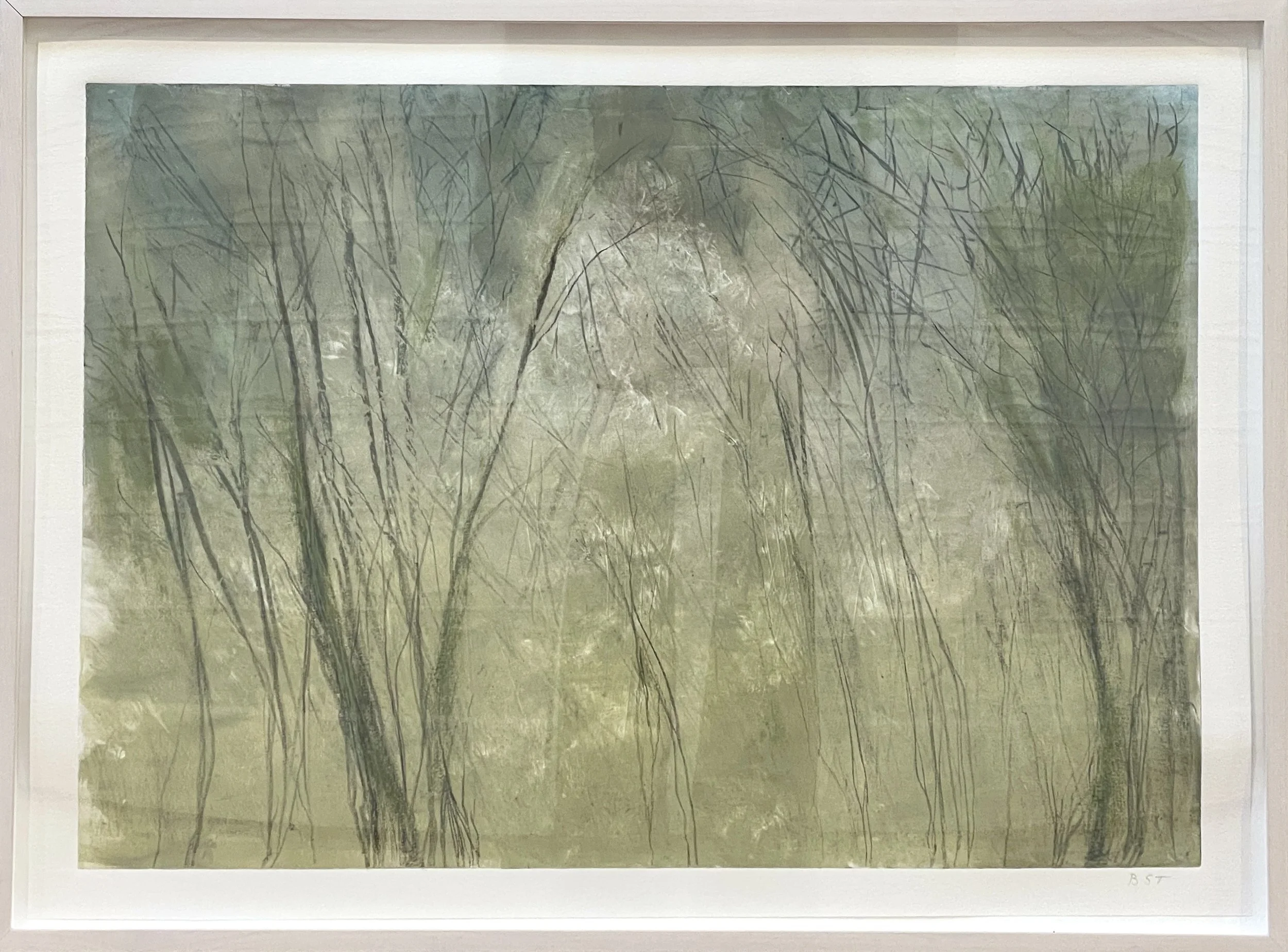  Barbara Thomas,  Birch , monotype on paper, 20" x 27" including frame, $1,800 