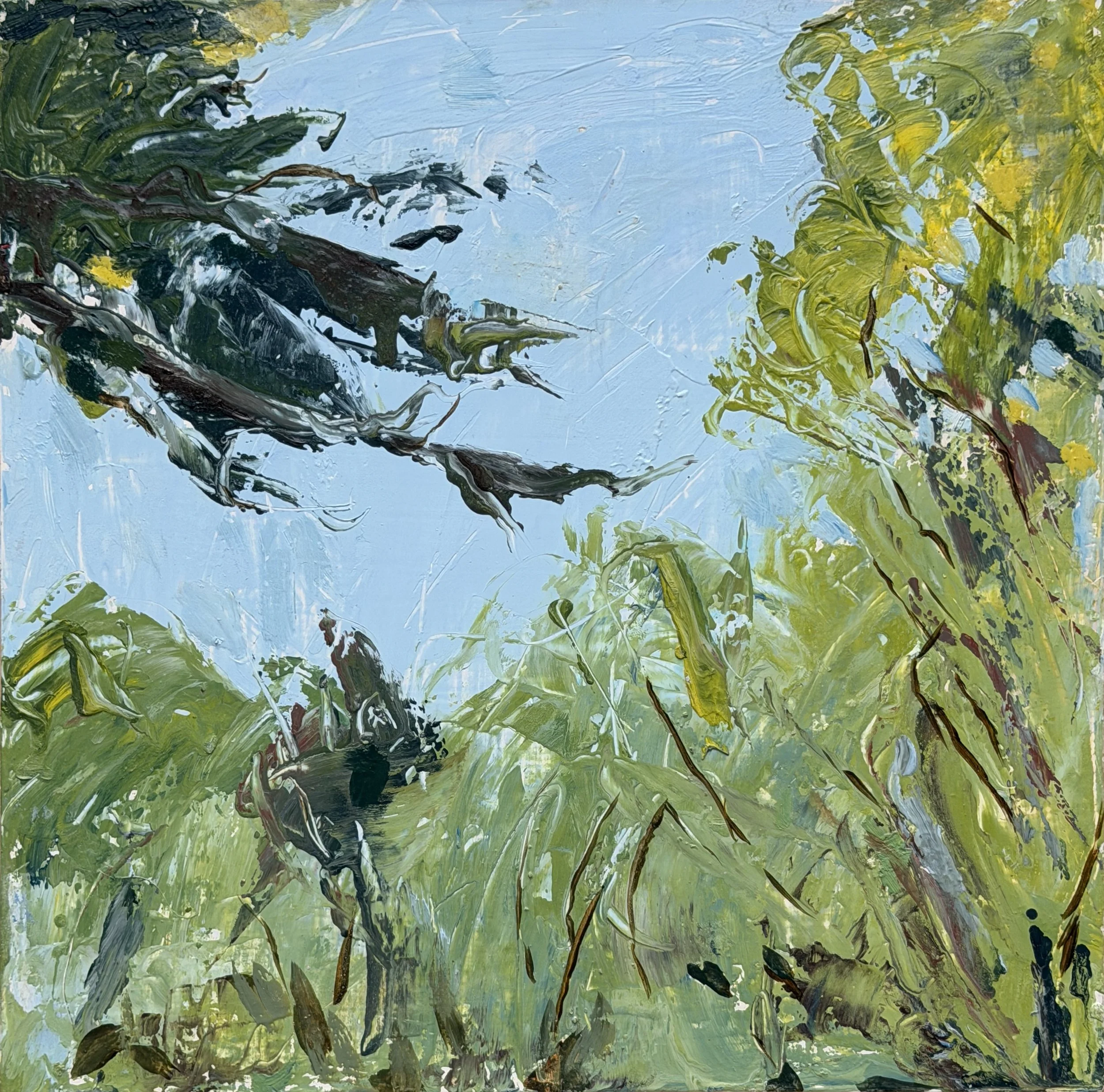  Barbara Thomas,  July , oil on wood, 12 3/4" x 12 3/4" including frame, $1,200 