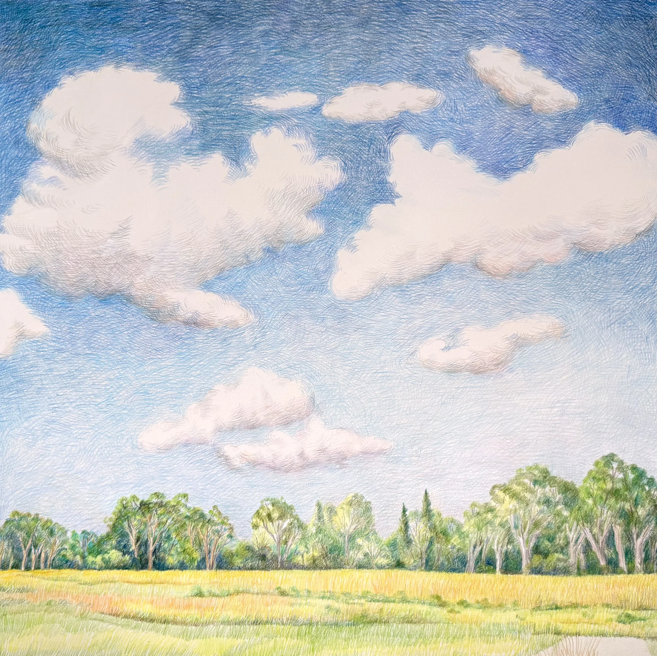  Barbara Thomas,  Old Bridgehampton , graphite and colored pencil on paper, 25" x 25" including frame, $1,800 