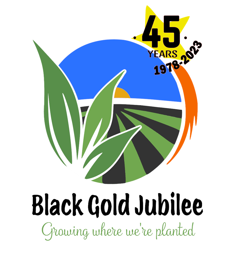 Black Gold Jubilee Festival 5K / 10K