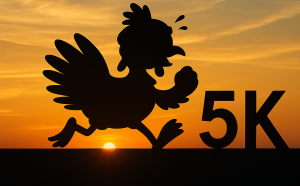 Hawks Cay Turkey Trot 5k Run/Walk