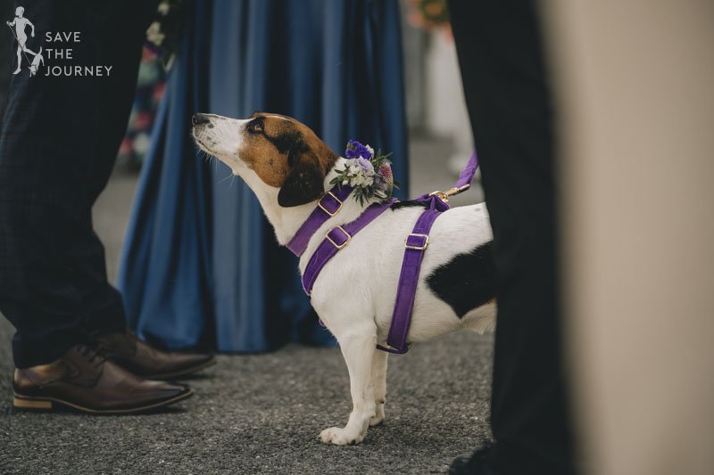 Ballycotton-Wedding-Photography-2.jpg