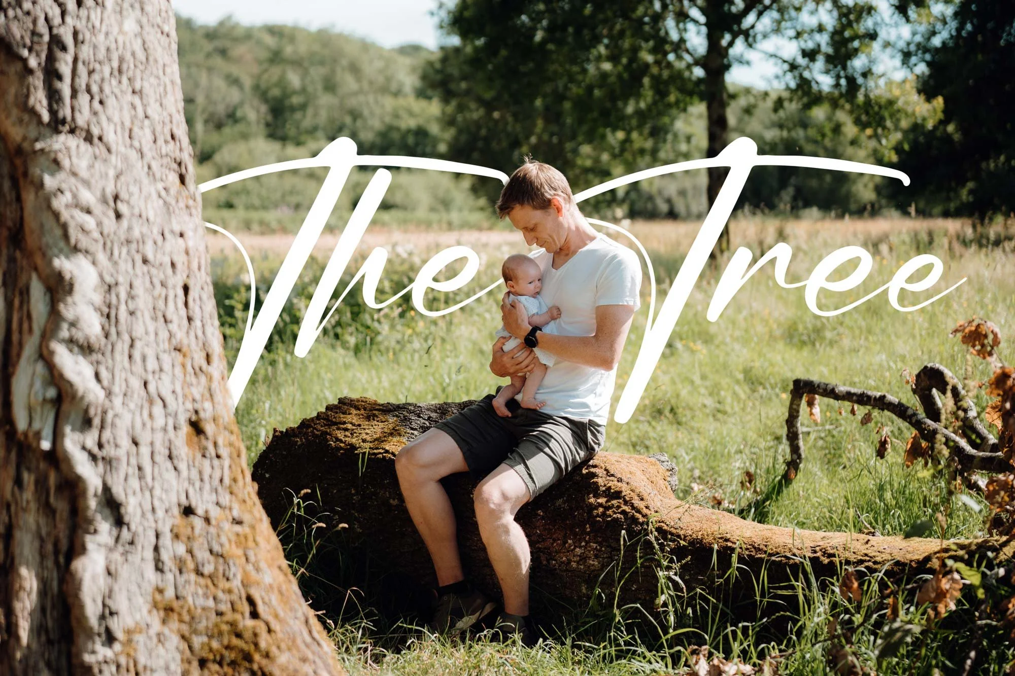 The Tree - Regional Park Family Photographer