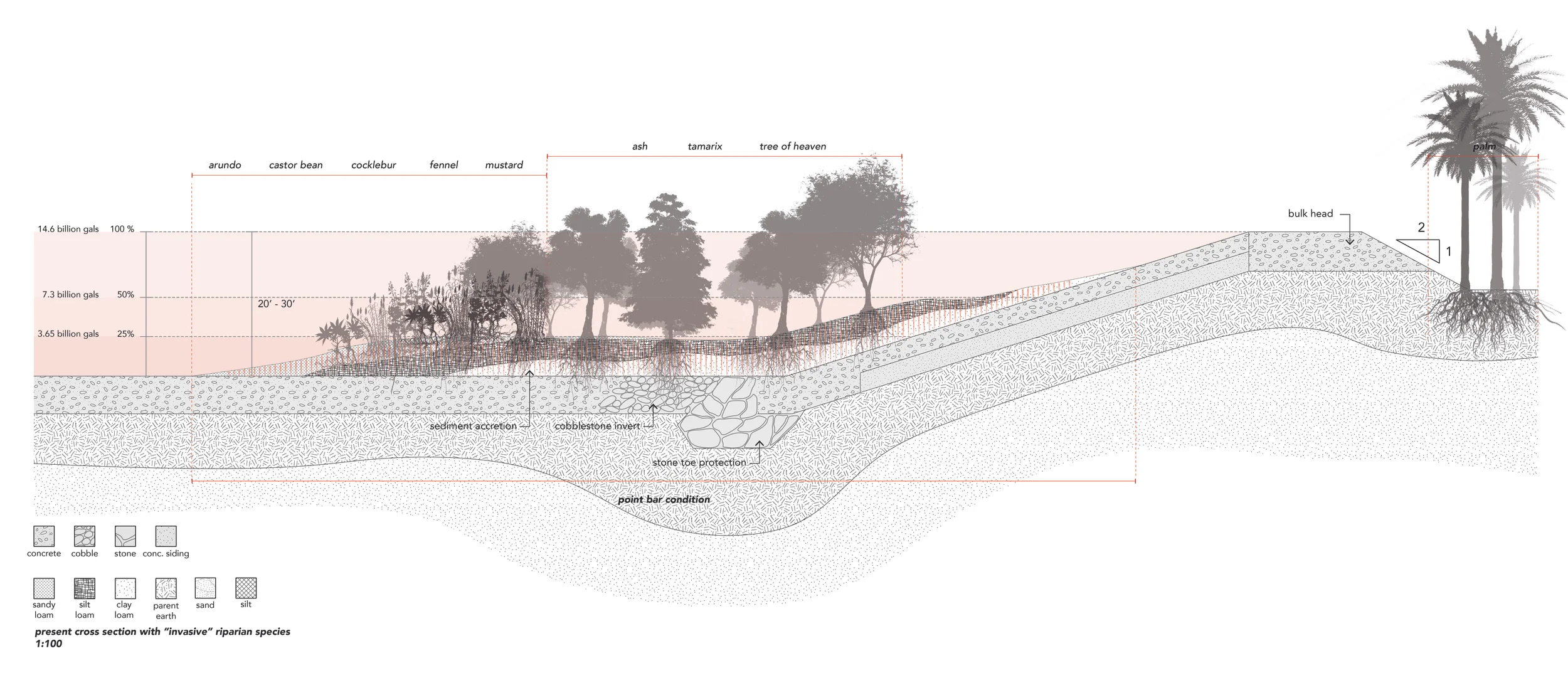 Typical Present Section of the River (channelized/concretized) with " Invasive " riparian species