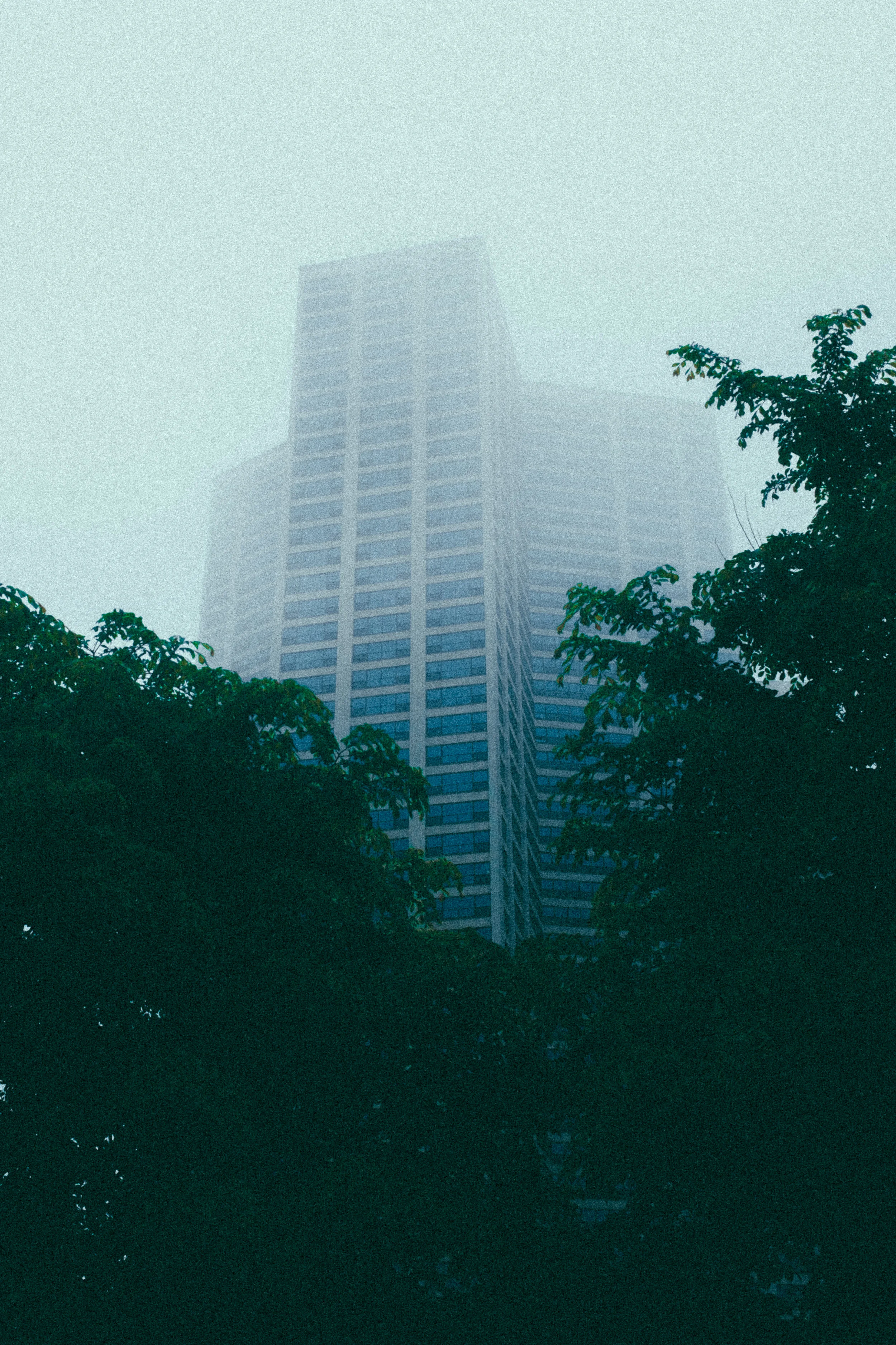 DSCF8284-2.jpg