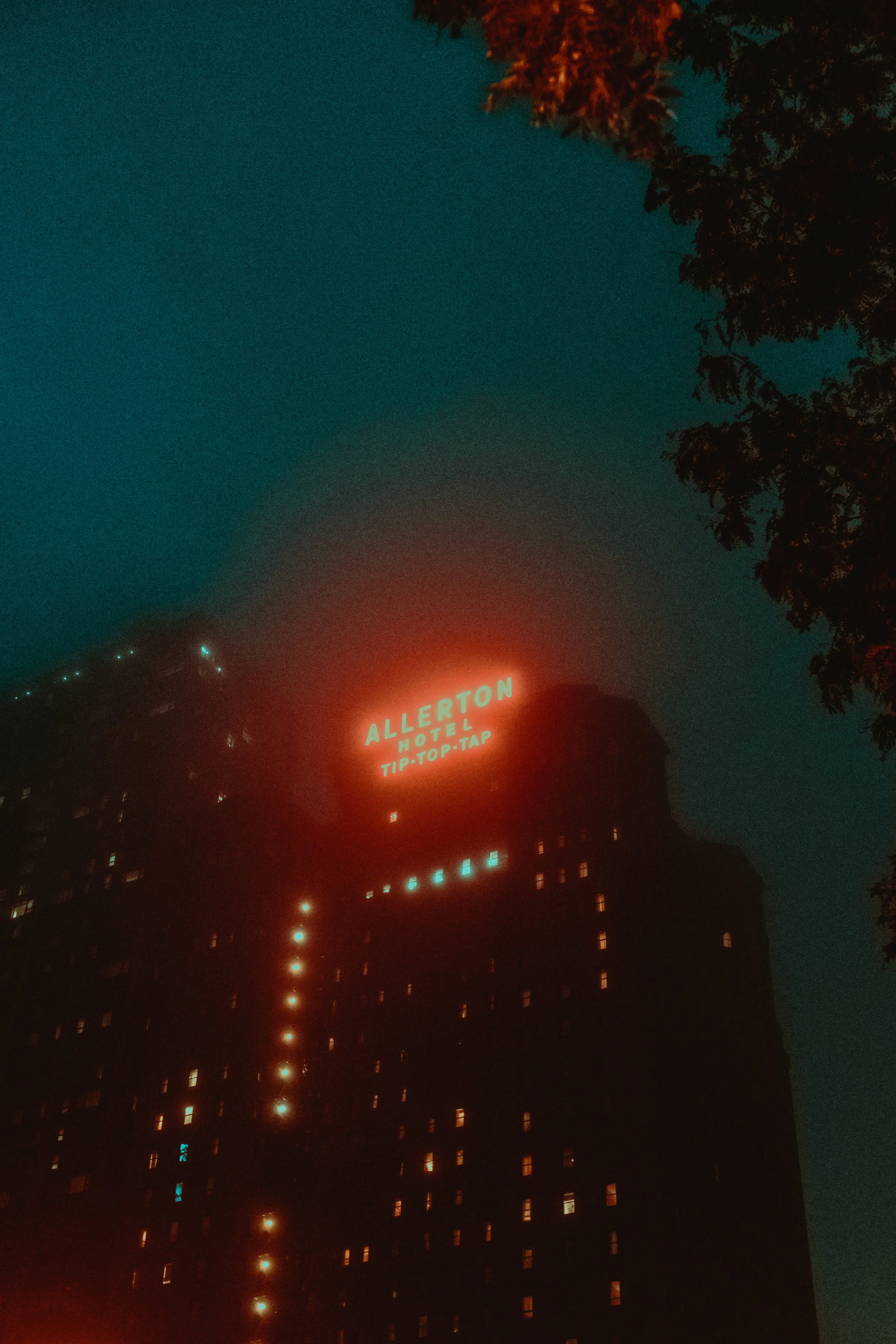 DSCF3191.jpg
