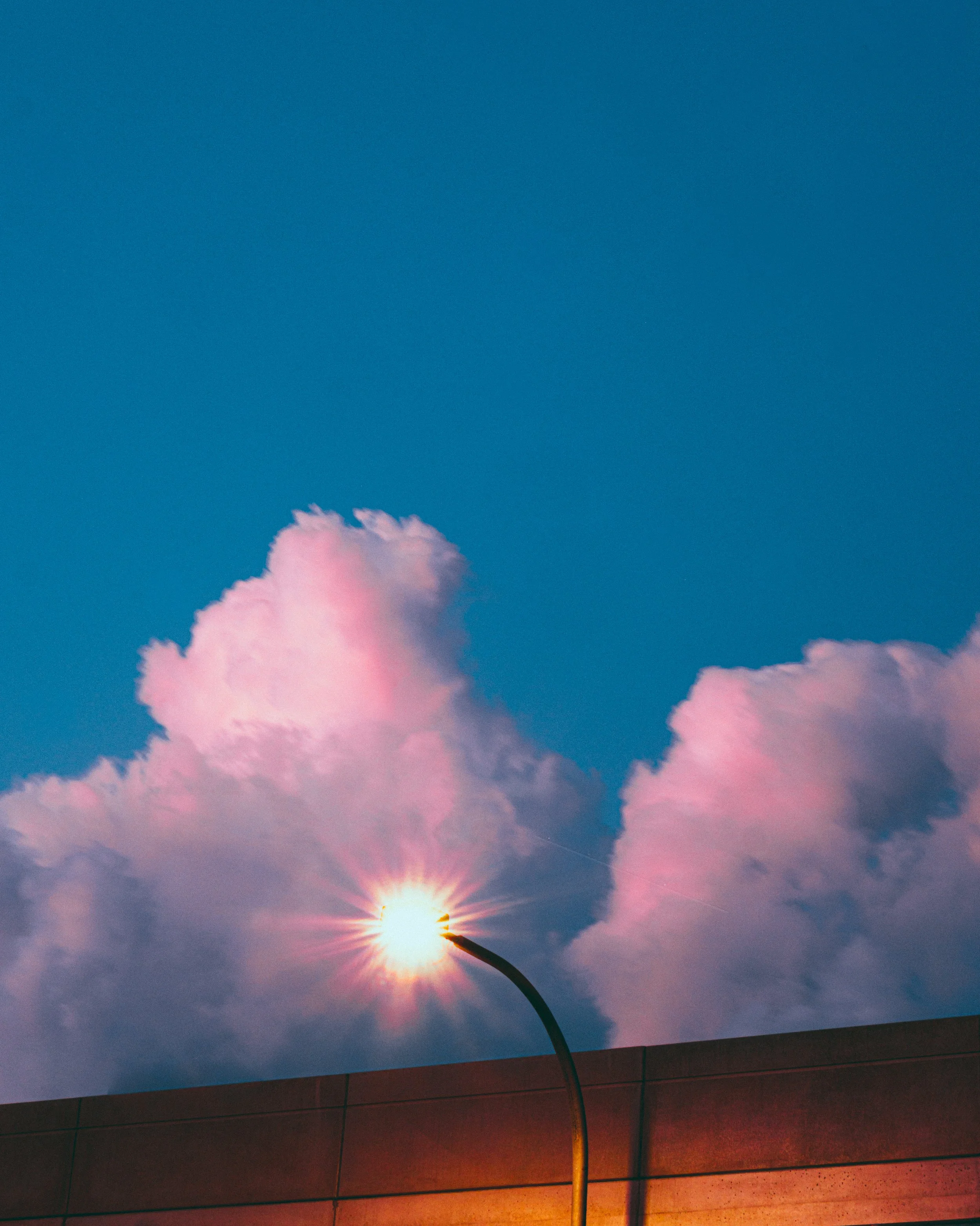 DSCF6947.jpg