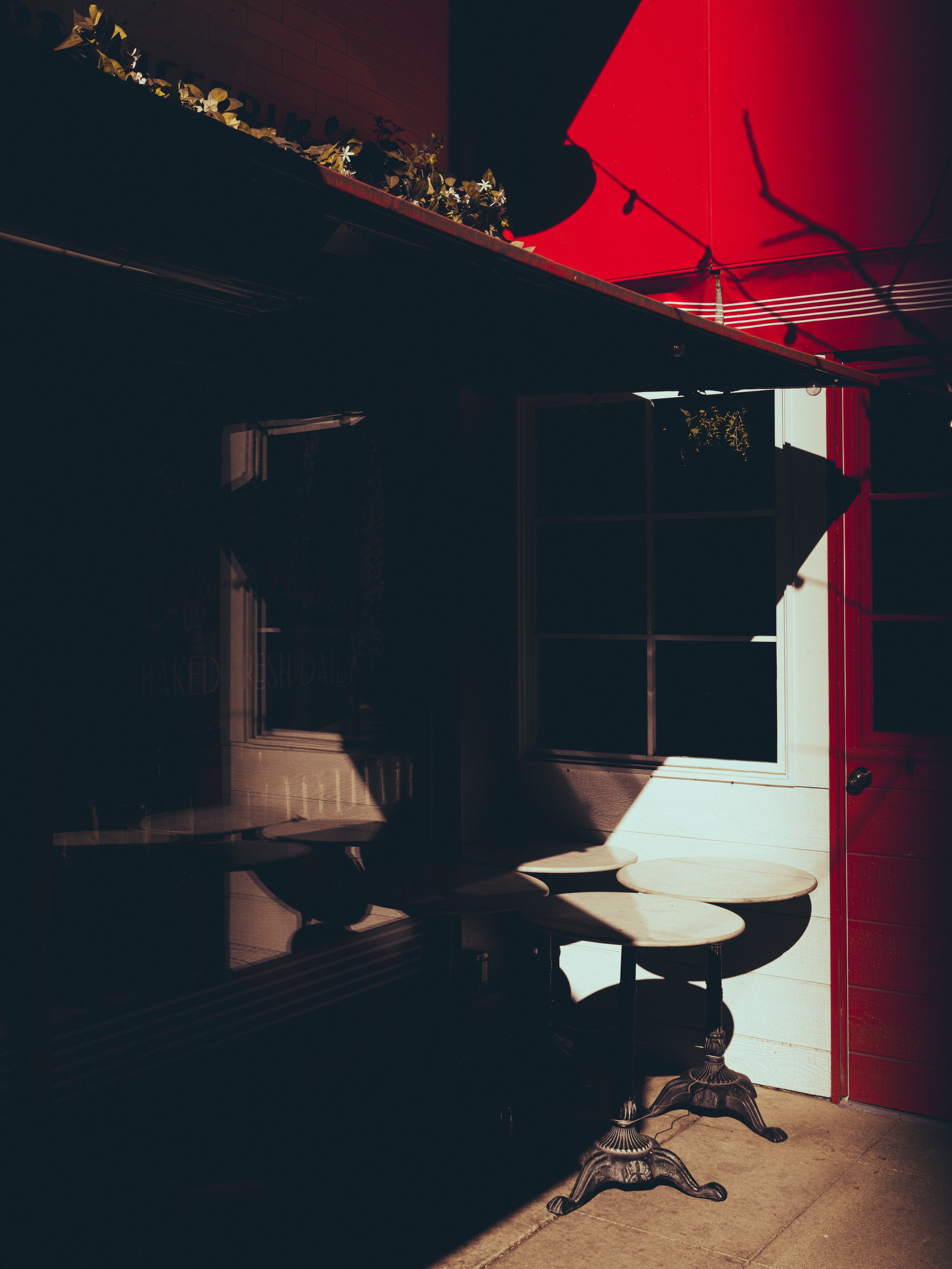 DSCF2536.jpg
