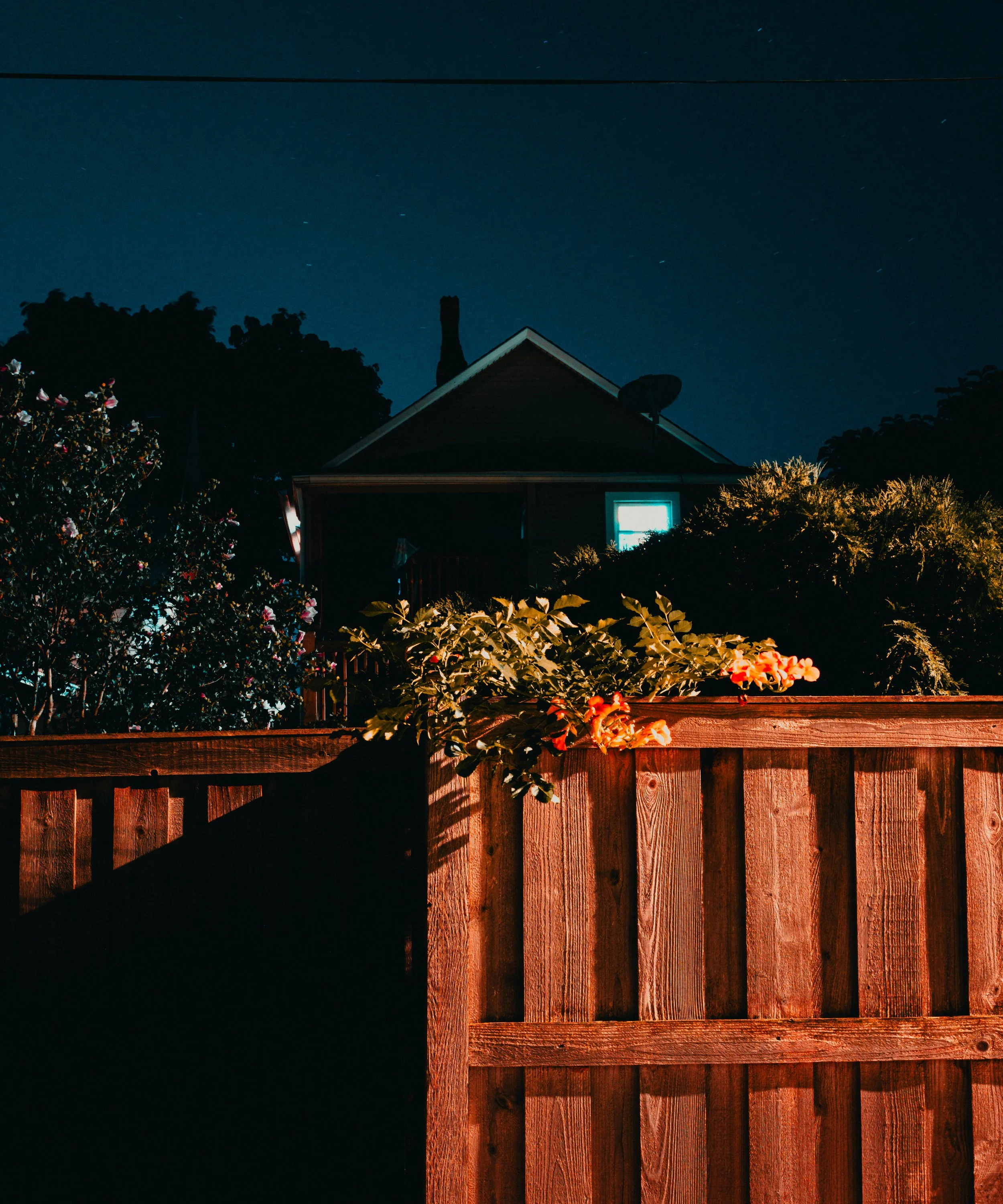 No Goodnight (2015)